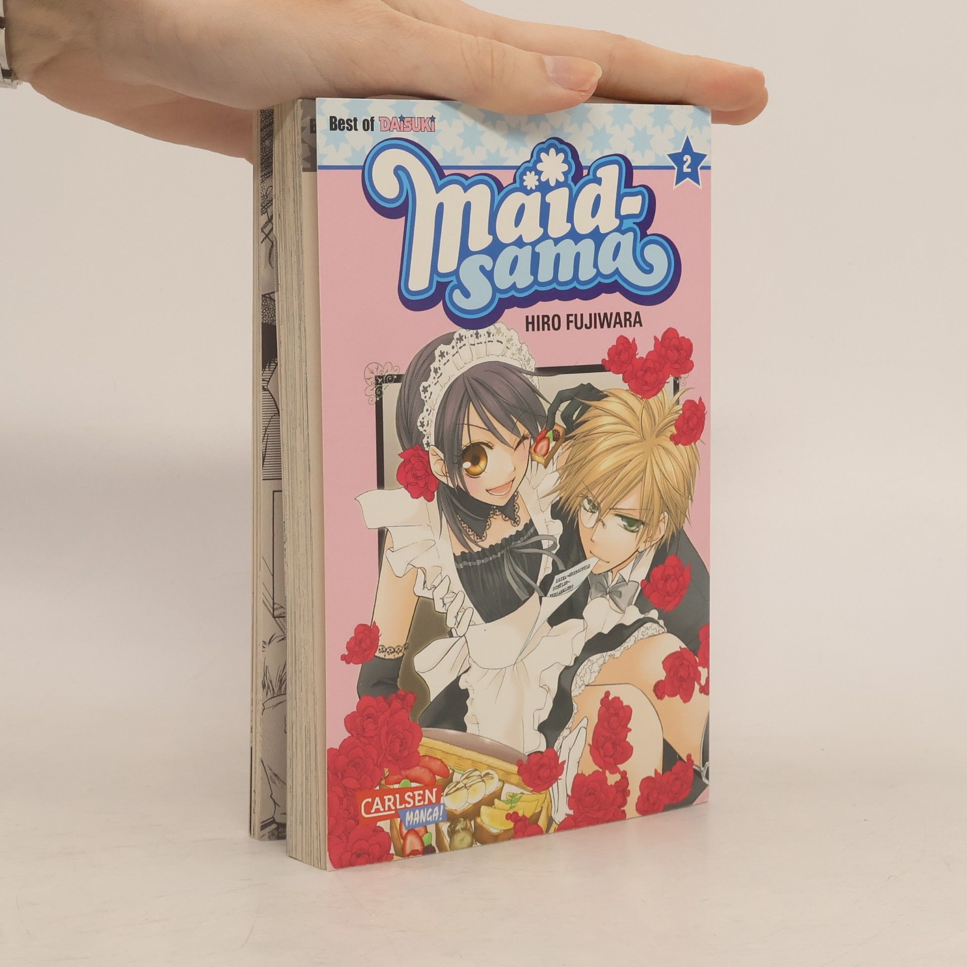 Hiro Fujiwara Maid-sama 2