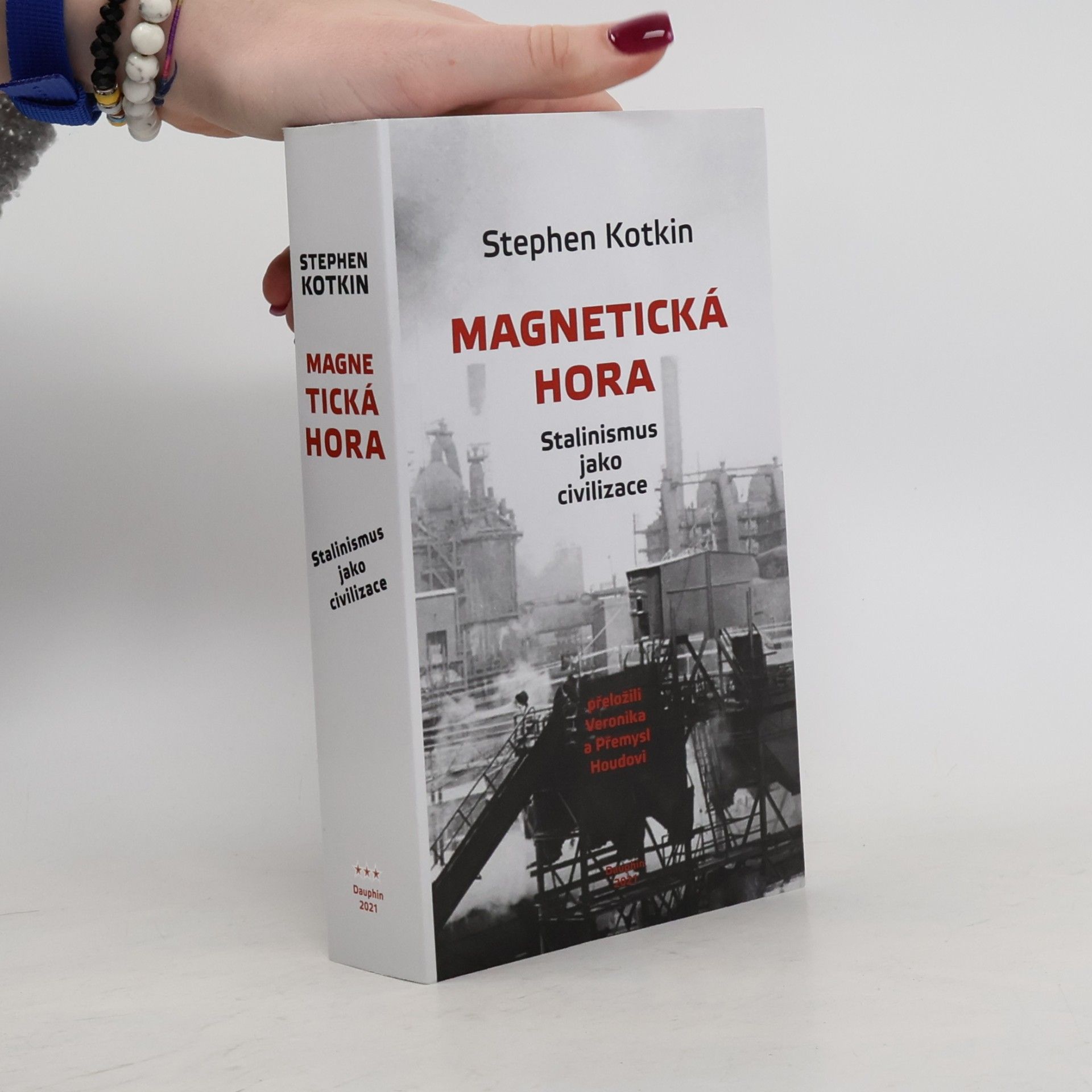 Magnetická hora : stalinismus jako civilizace