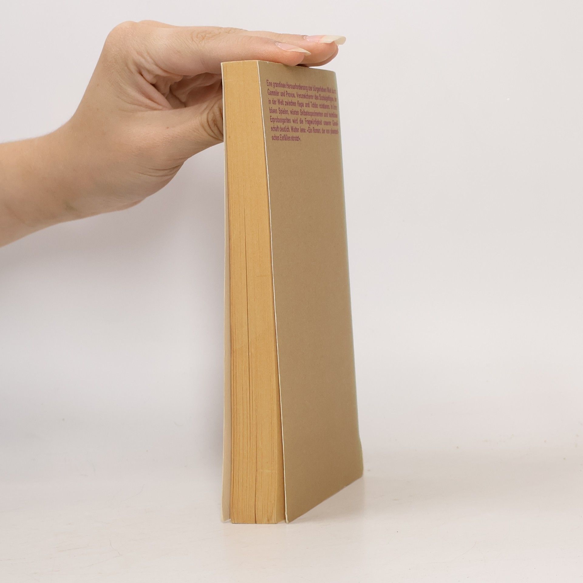 Hubert Fichte Die Palette