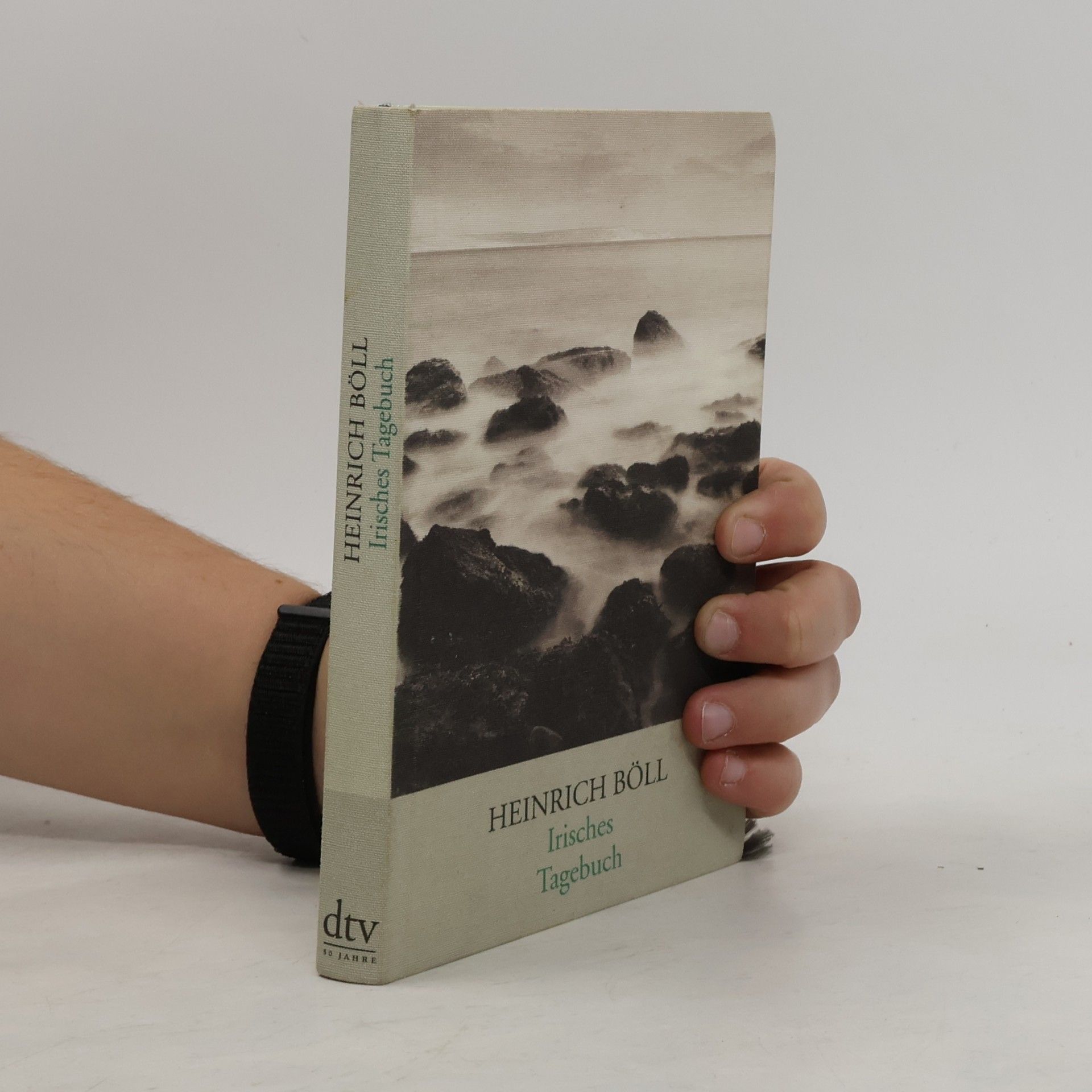Heinrich Böll Irisches Tagebuch