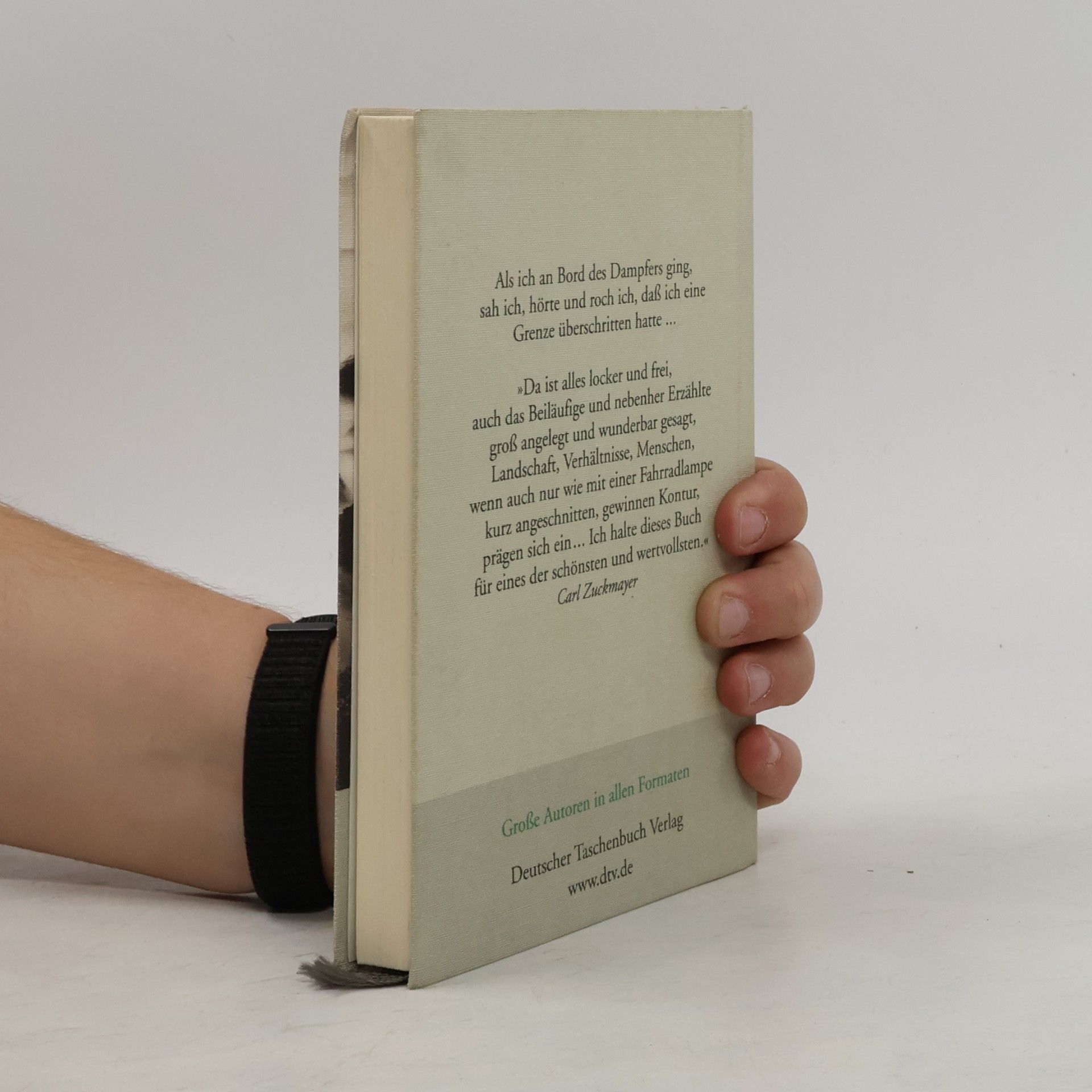 Heinrich Böll Irisches Tagebuch