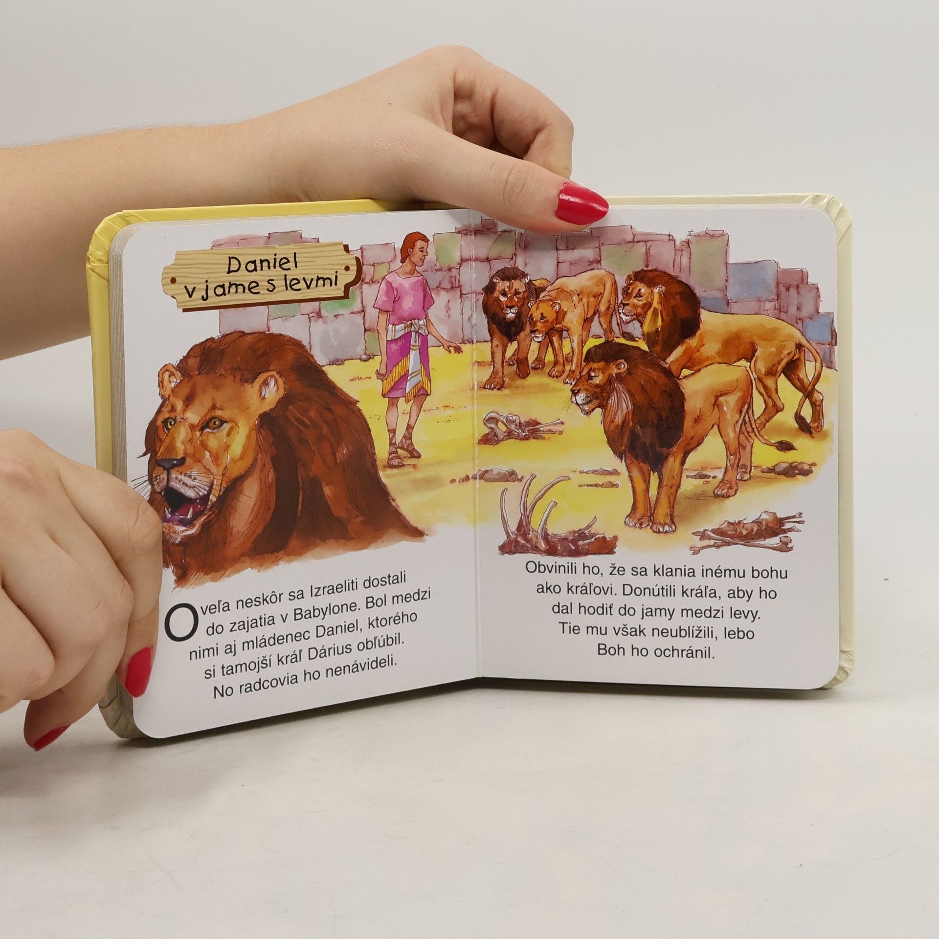 Kolektiv autorů Biblia pre maličkých