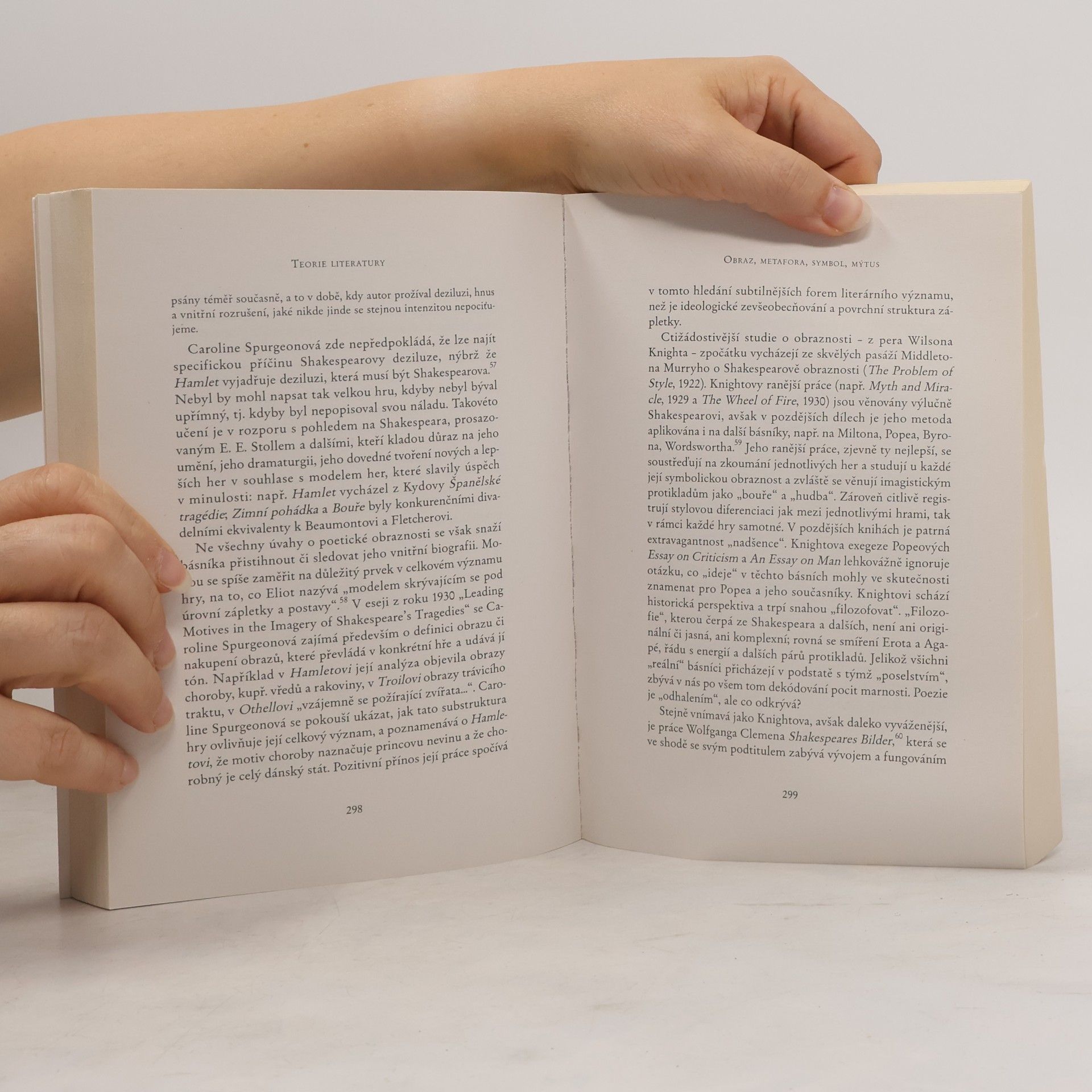 René Wellek Teorie literatury