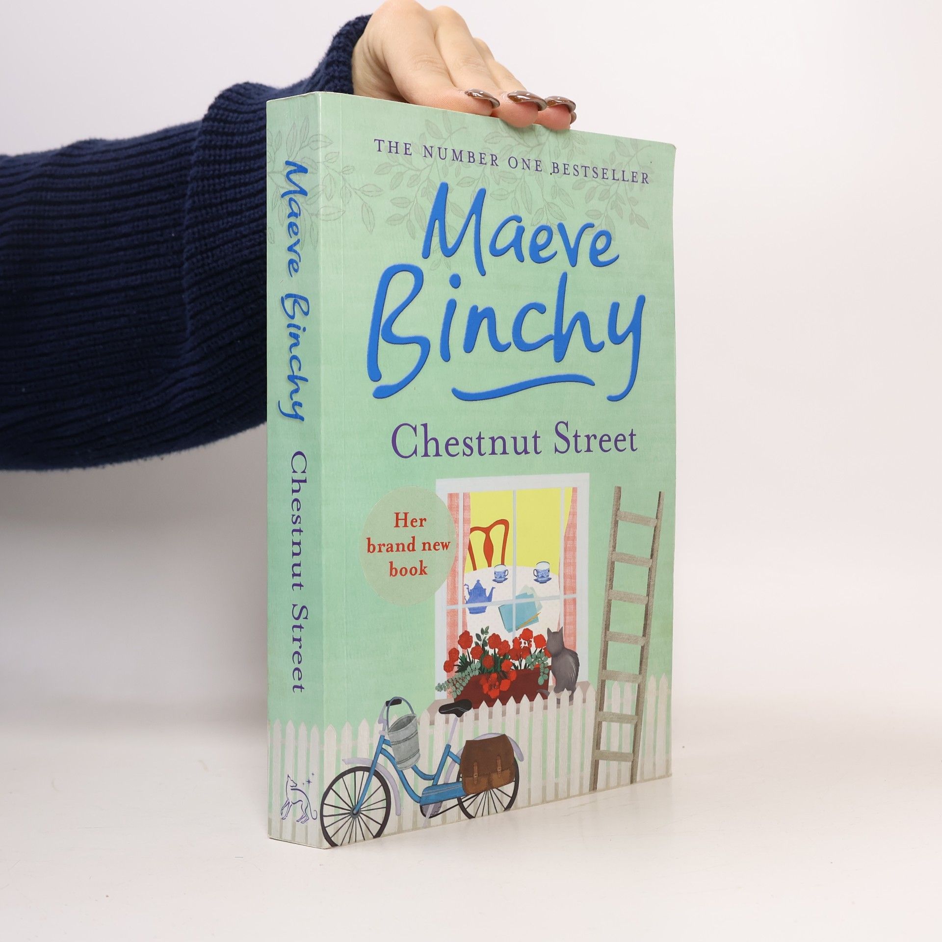 Maeve Binchy Chestnut Street