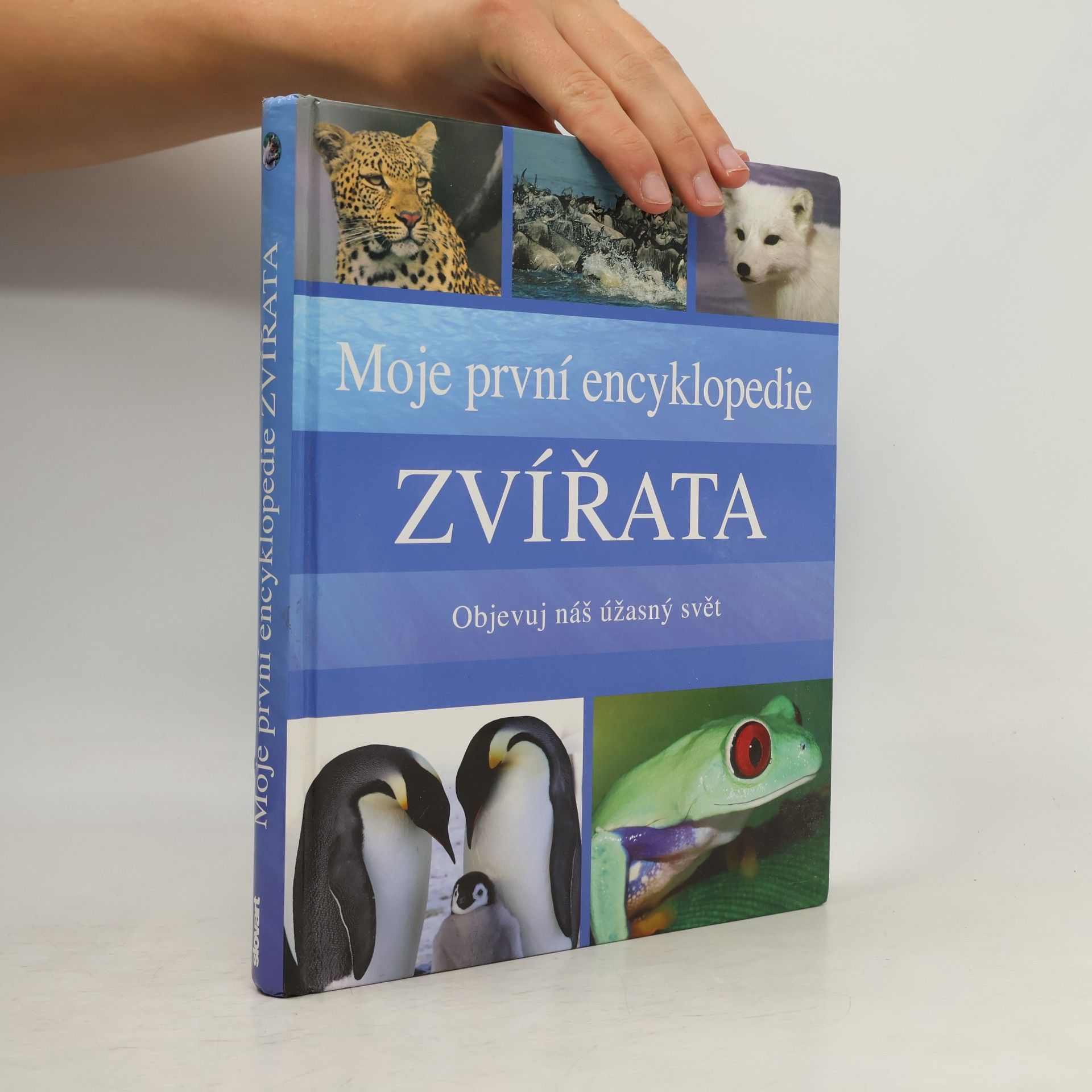 Sally Morgan Moje první encyklopedie - Zvířata: Objevuj náš úžasný svět