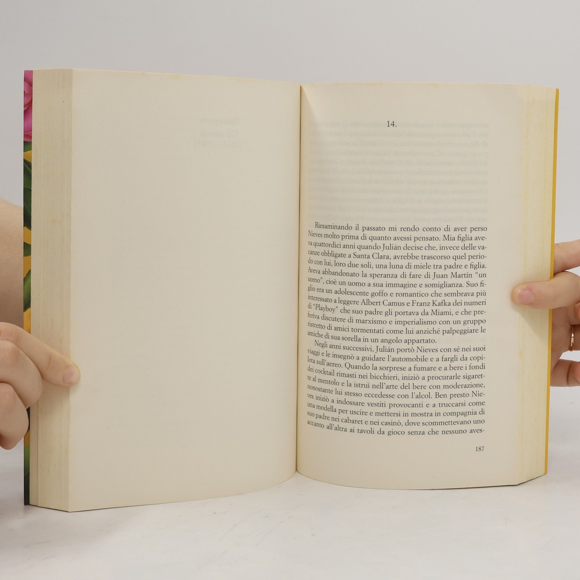 Isabel Allende Llona Violeta
