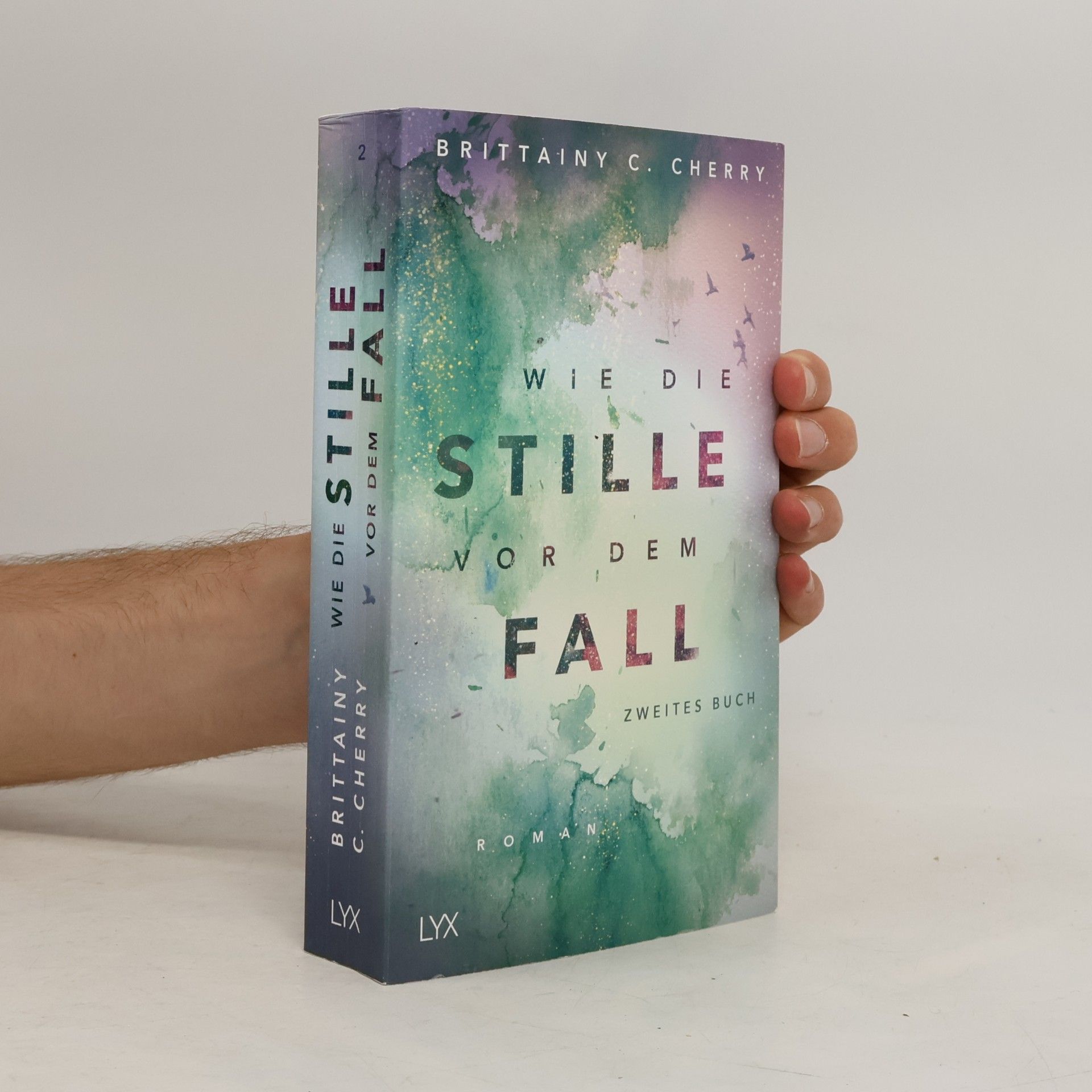 Brittainy C. Cherry Wie die Stille vor dem Fall 2