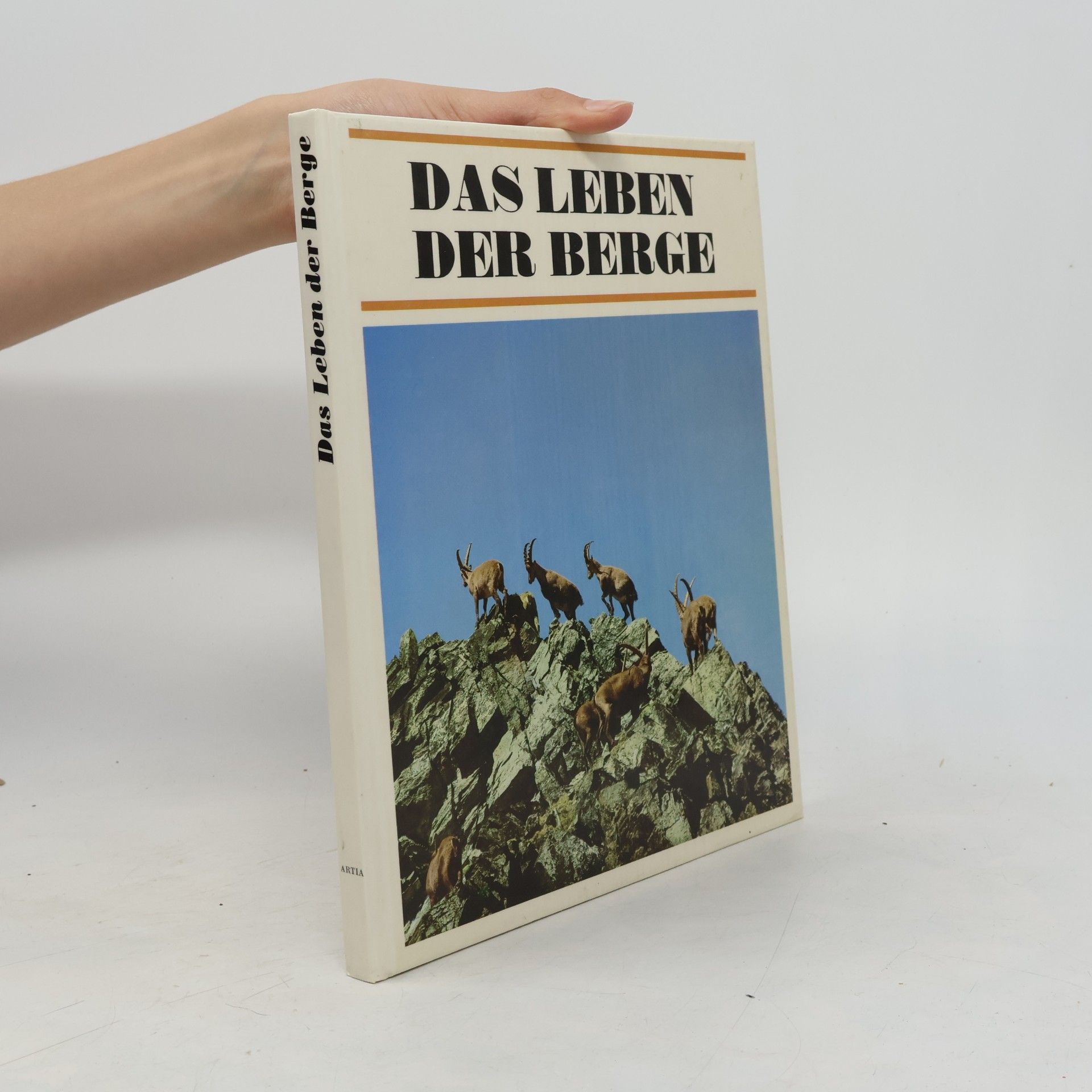 Jan Jeník Das Leben der Berge