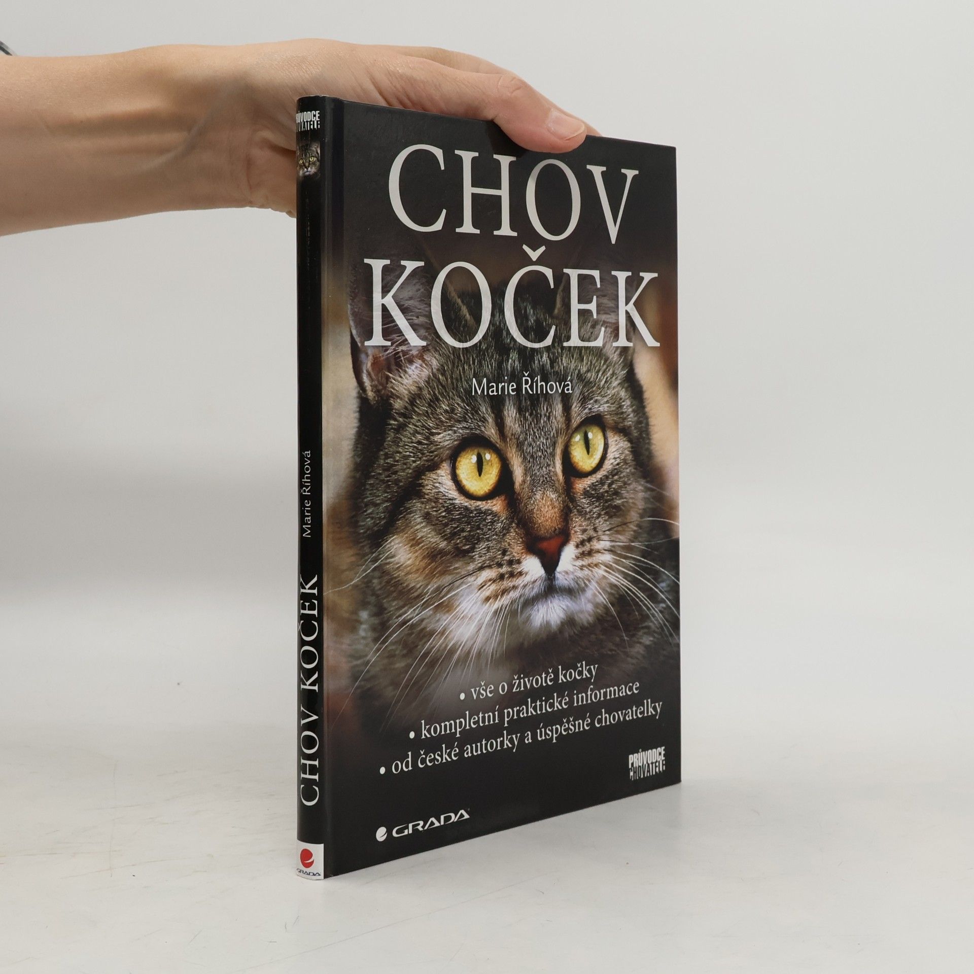 Chov koček