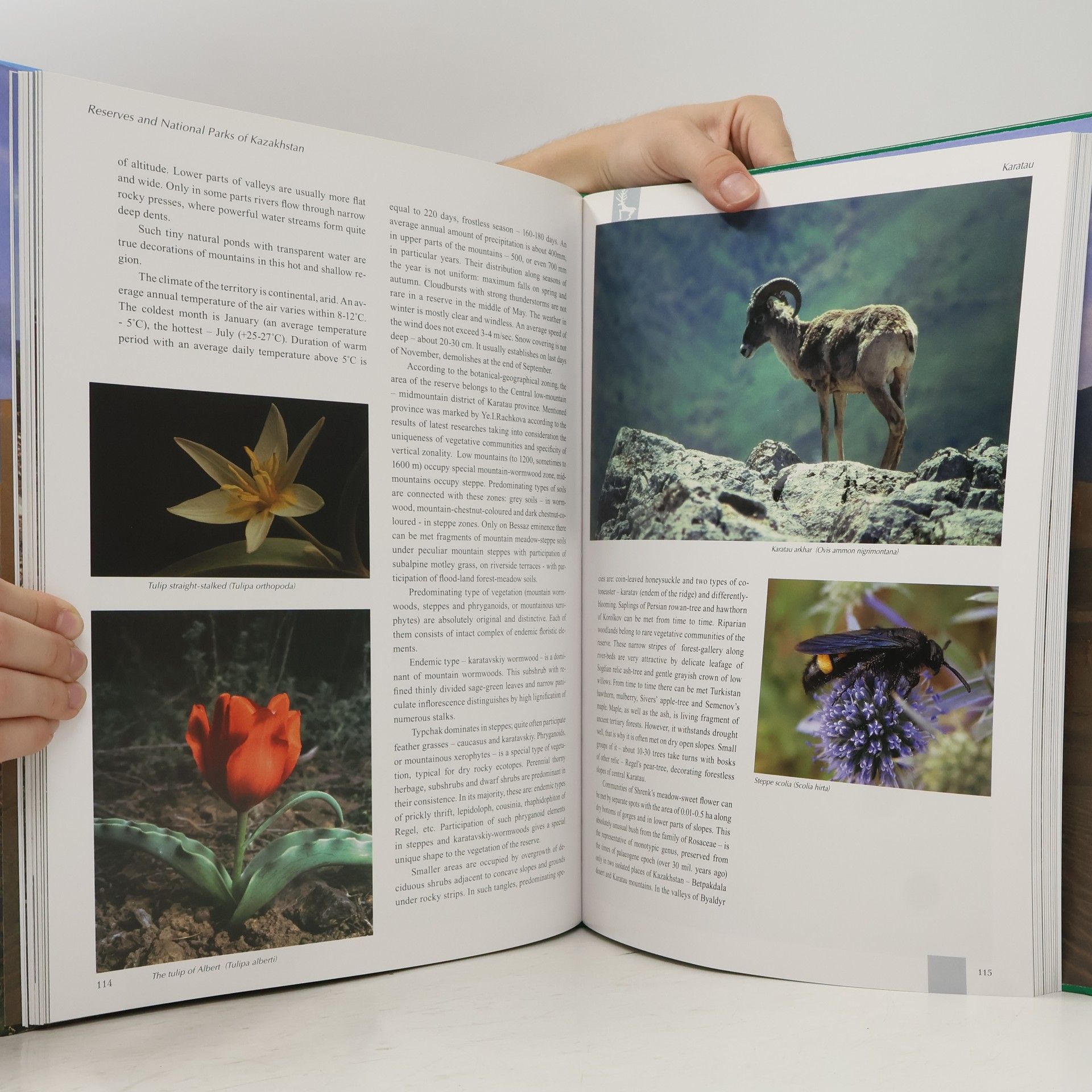 Anna Andreyevna Ivashenko Reserves and National Parks of Kazakhstan