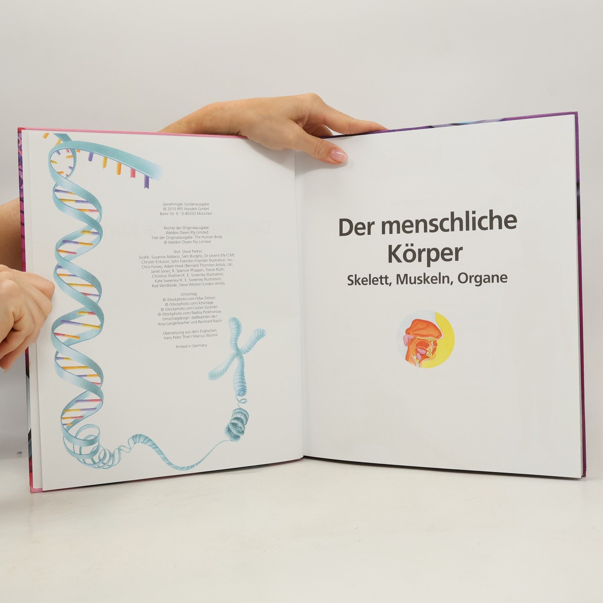 Kolektiv autorů Der Menschliche Körper. Skelett, Muskeln, Organe