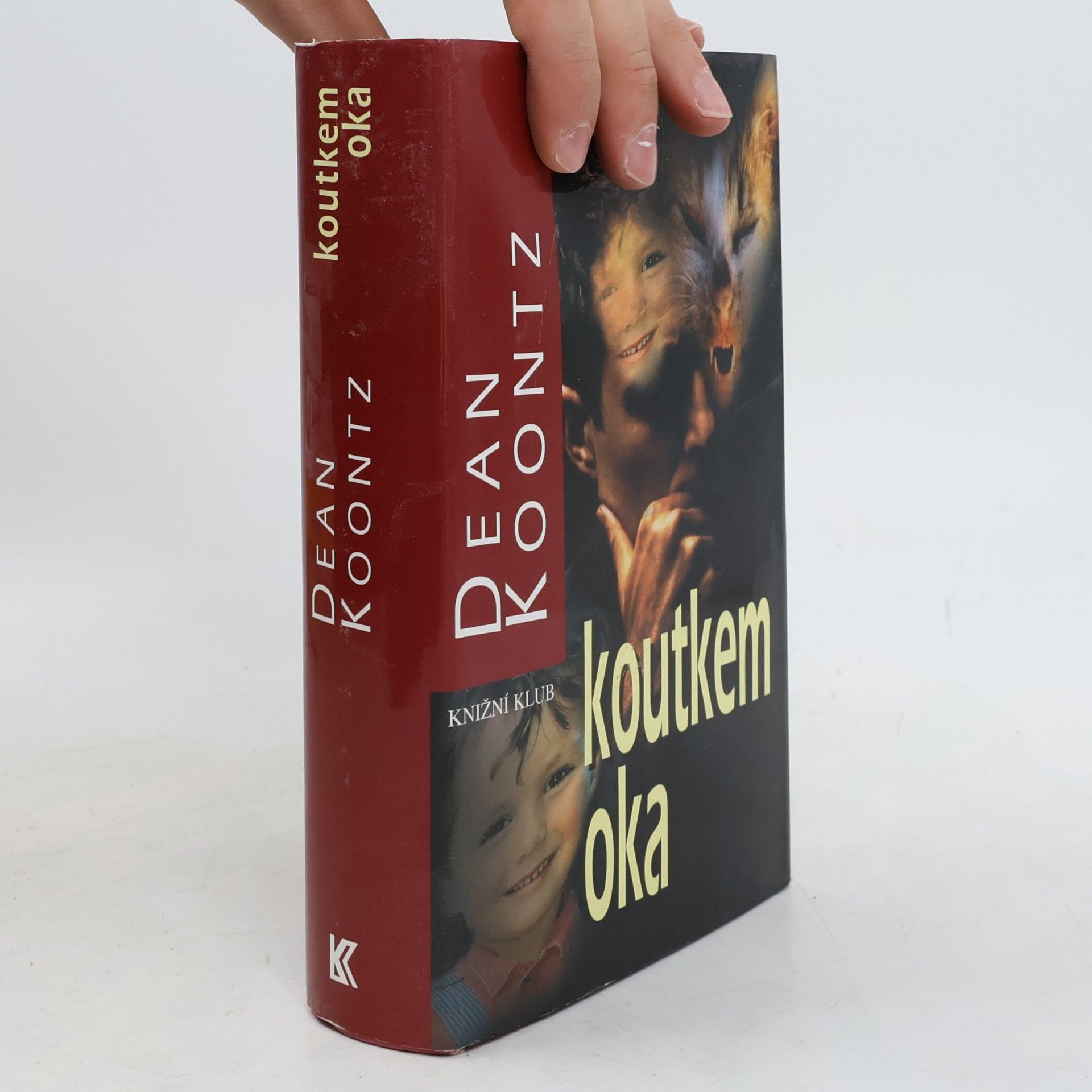 Dean Ray Koontz Koutkem oka