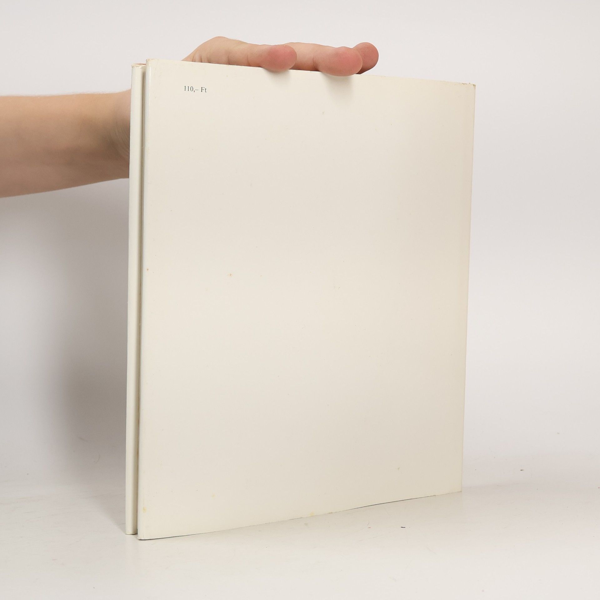 Ire n. Kisde gine Kirimi Stilleben in der Ungarischen Nationalgalerie