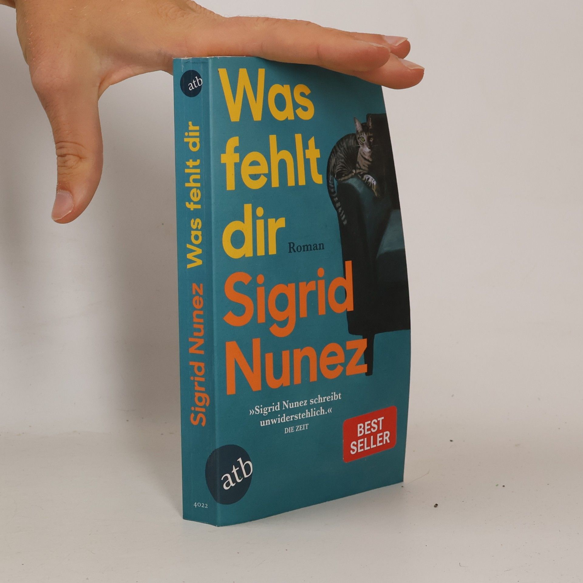 Sigrid Nunez Was fehlt dir