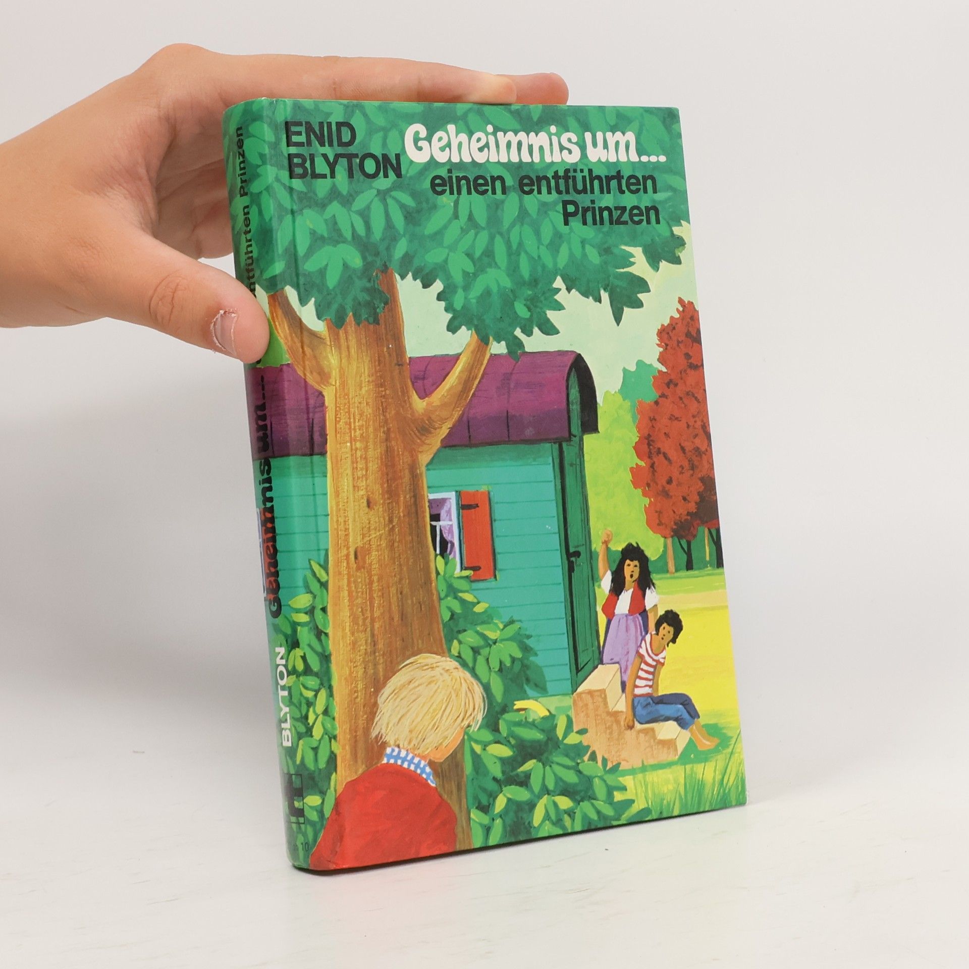 Enid Blyton Geheimnis um... einen entführten Prinzen