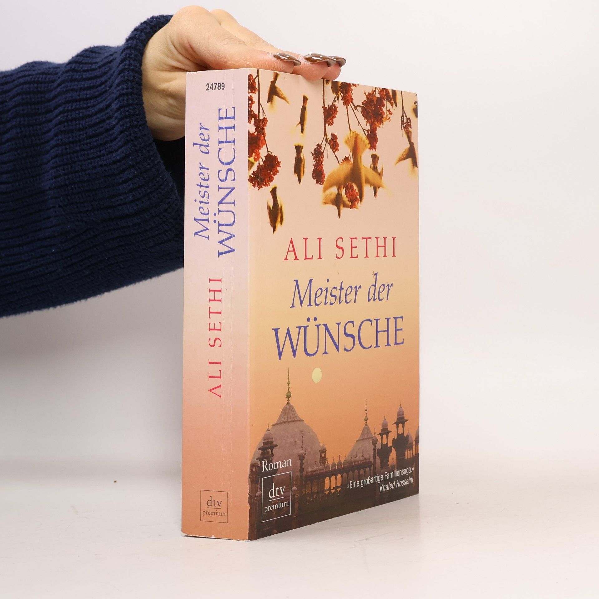 Ali Sethi Meister der Wünsche