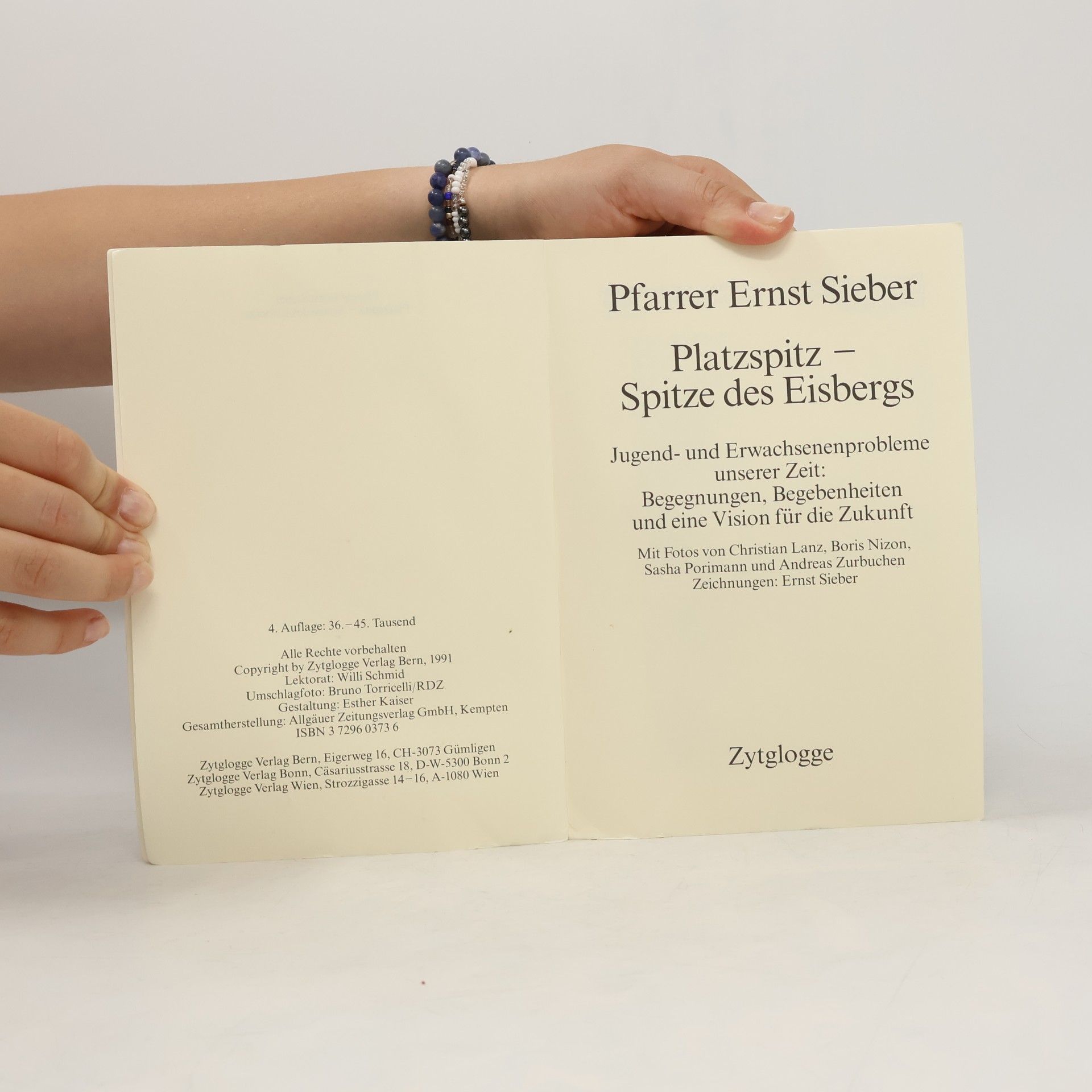 Ernst Sieber Platzspitz - Spitze des Eisbergs