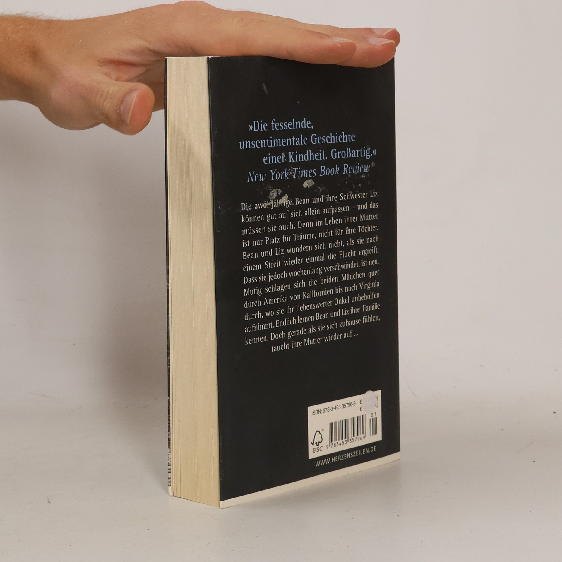 Jeannette Walls Die andere Seite des Himmels