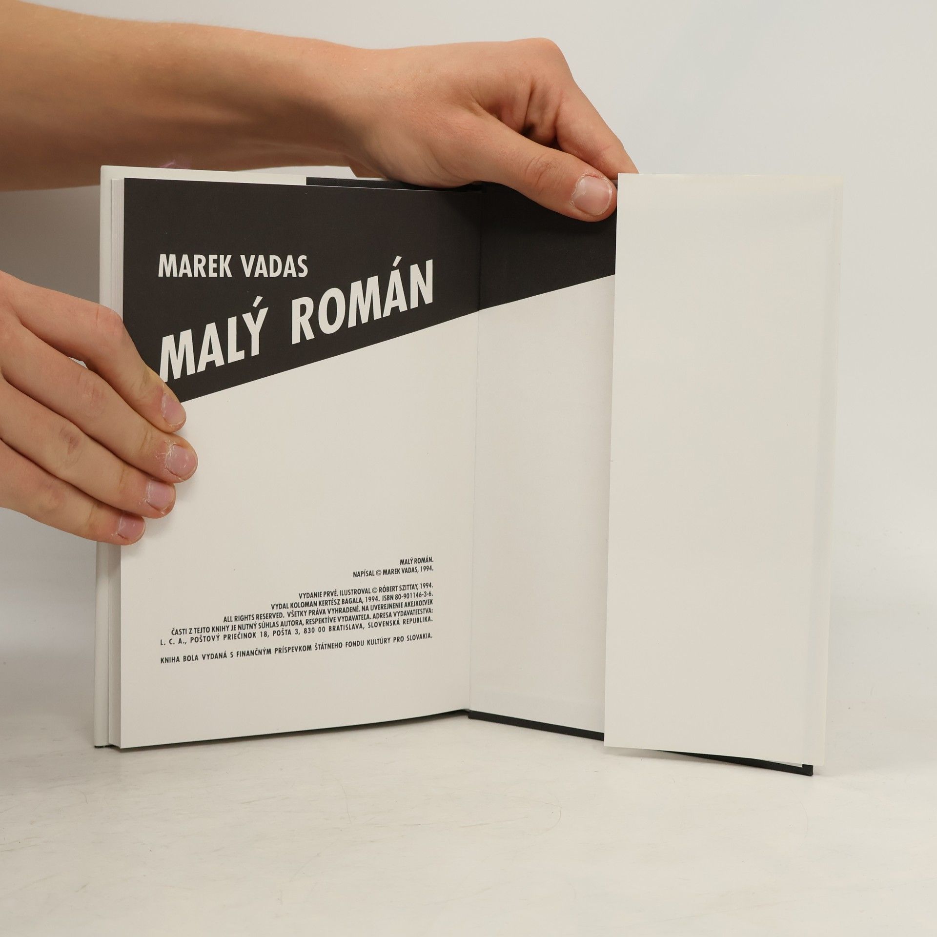 Marek Vadas Malý román
