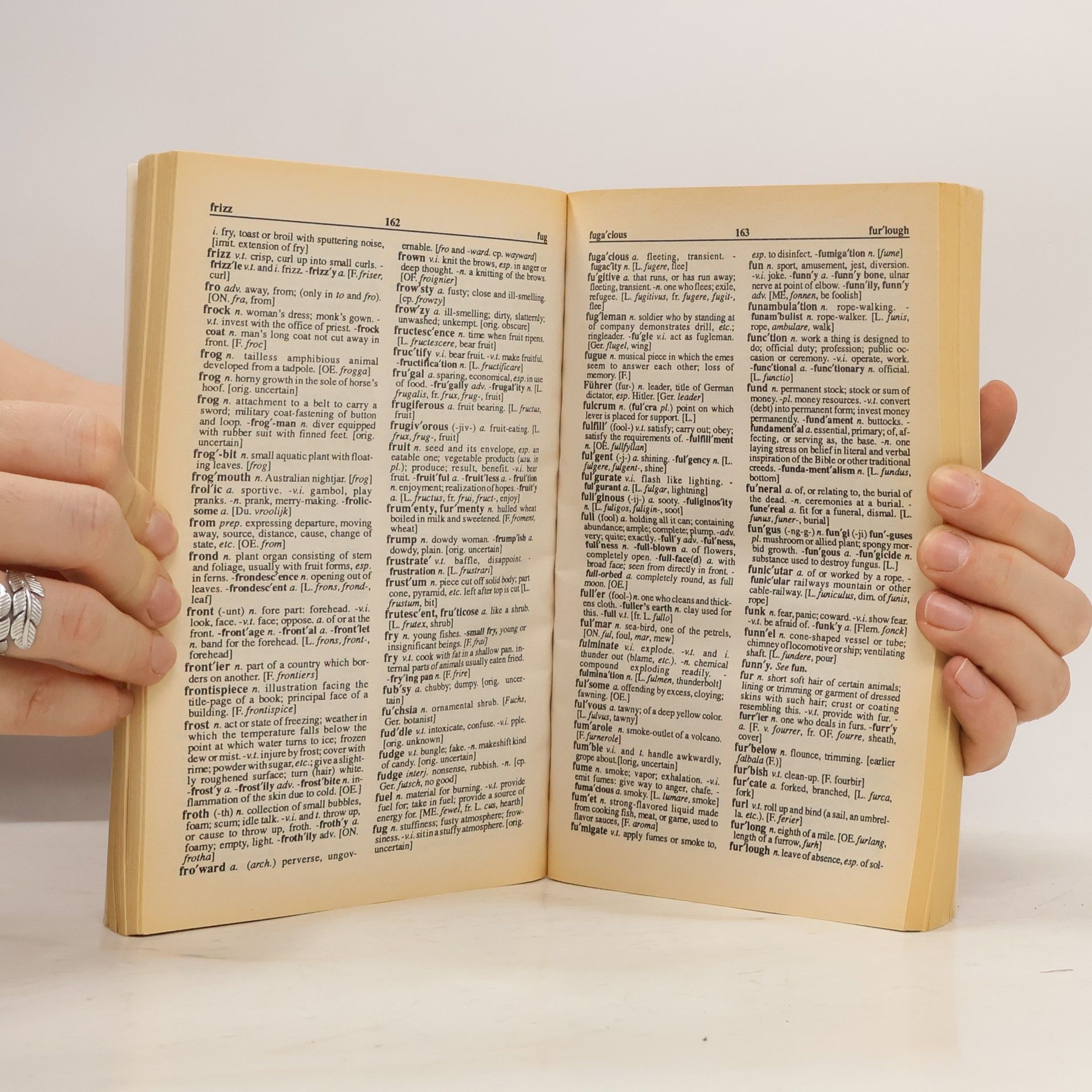 Kolektiv autorů Webster's New Dictionary