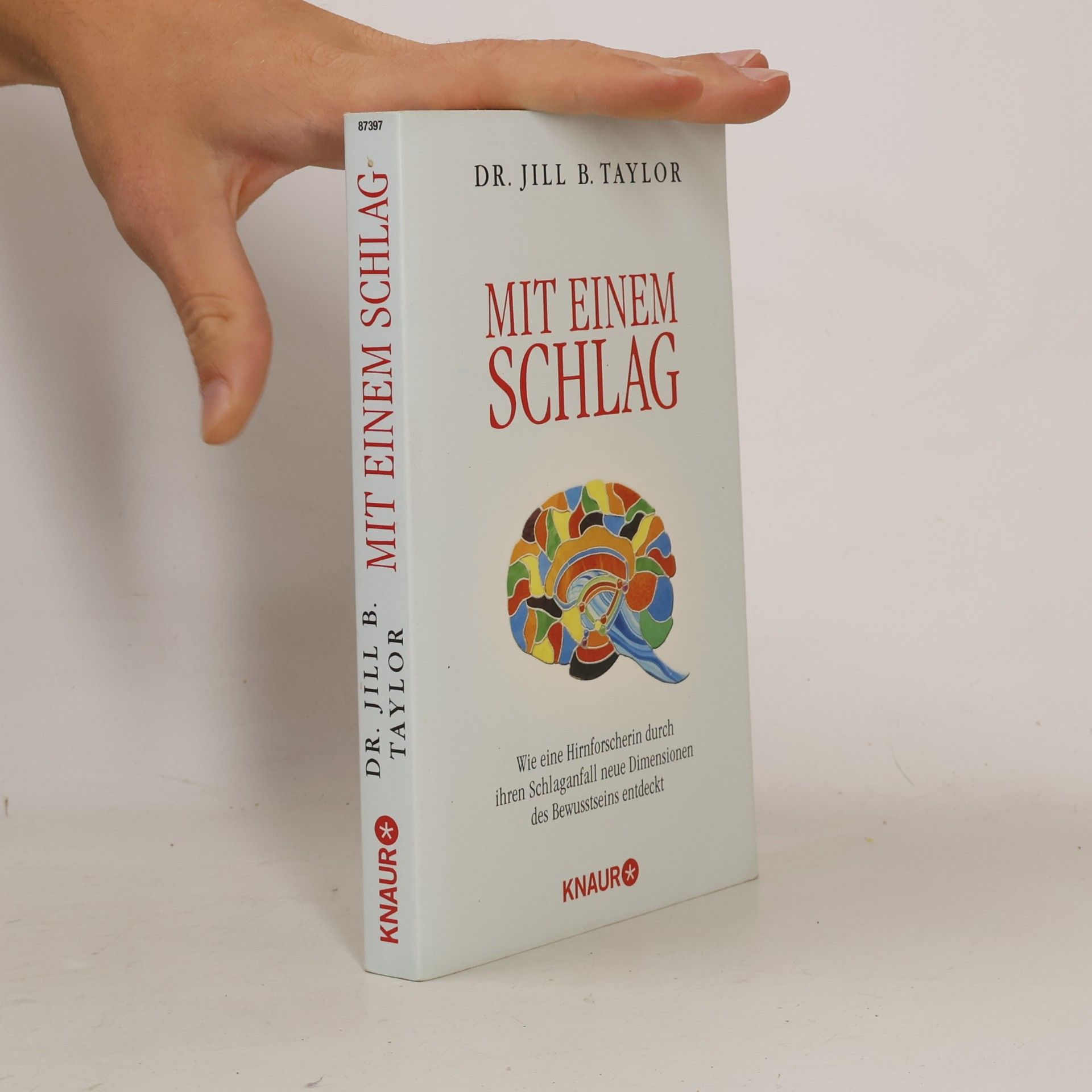 Jill Bolte Taylor Mit einem Schlag