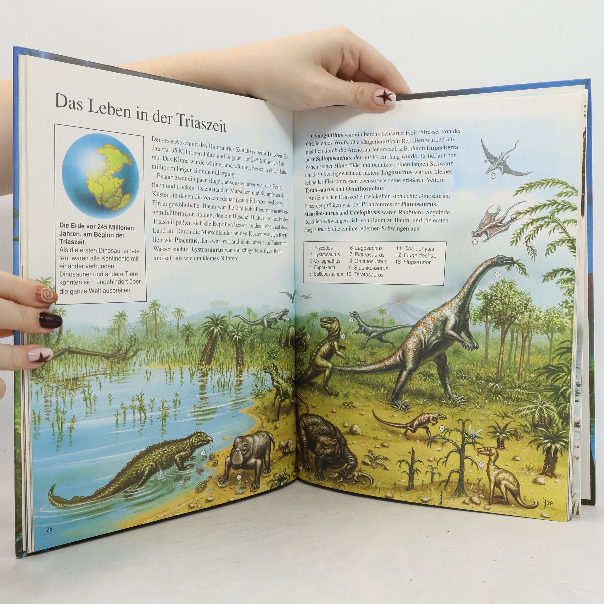 David A. Hardy Das große Buch der Dinosaurier