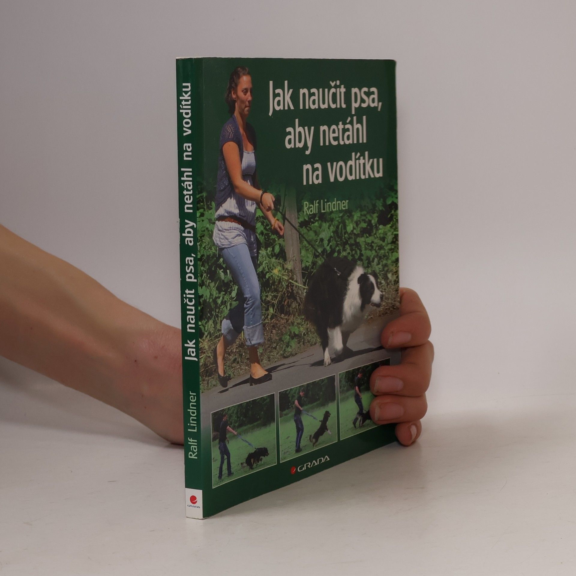 Ralf Lindner Jak naučit psa, aby netáhl na vodítku