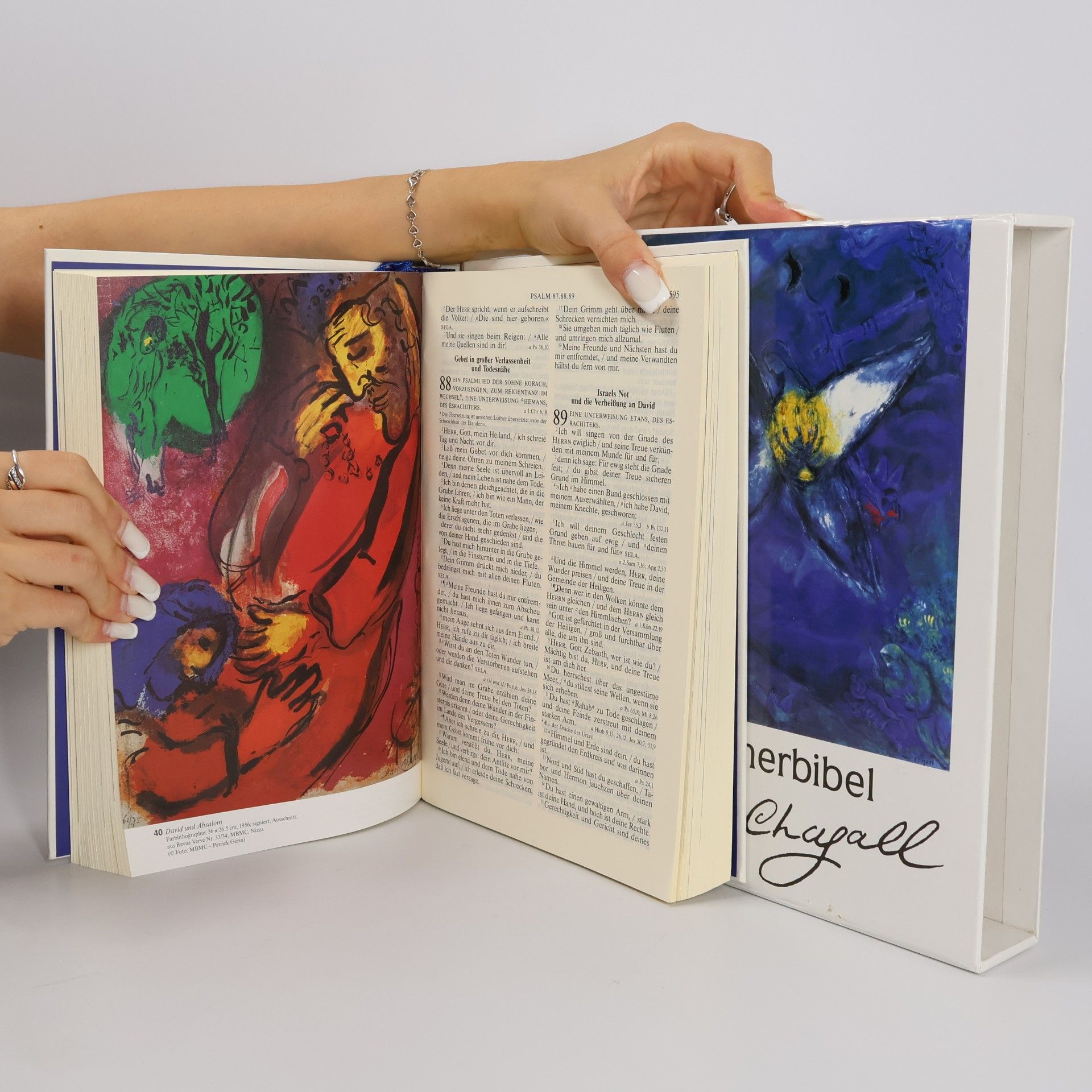 Martin Luther Lutherbibel mit Bildern