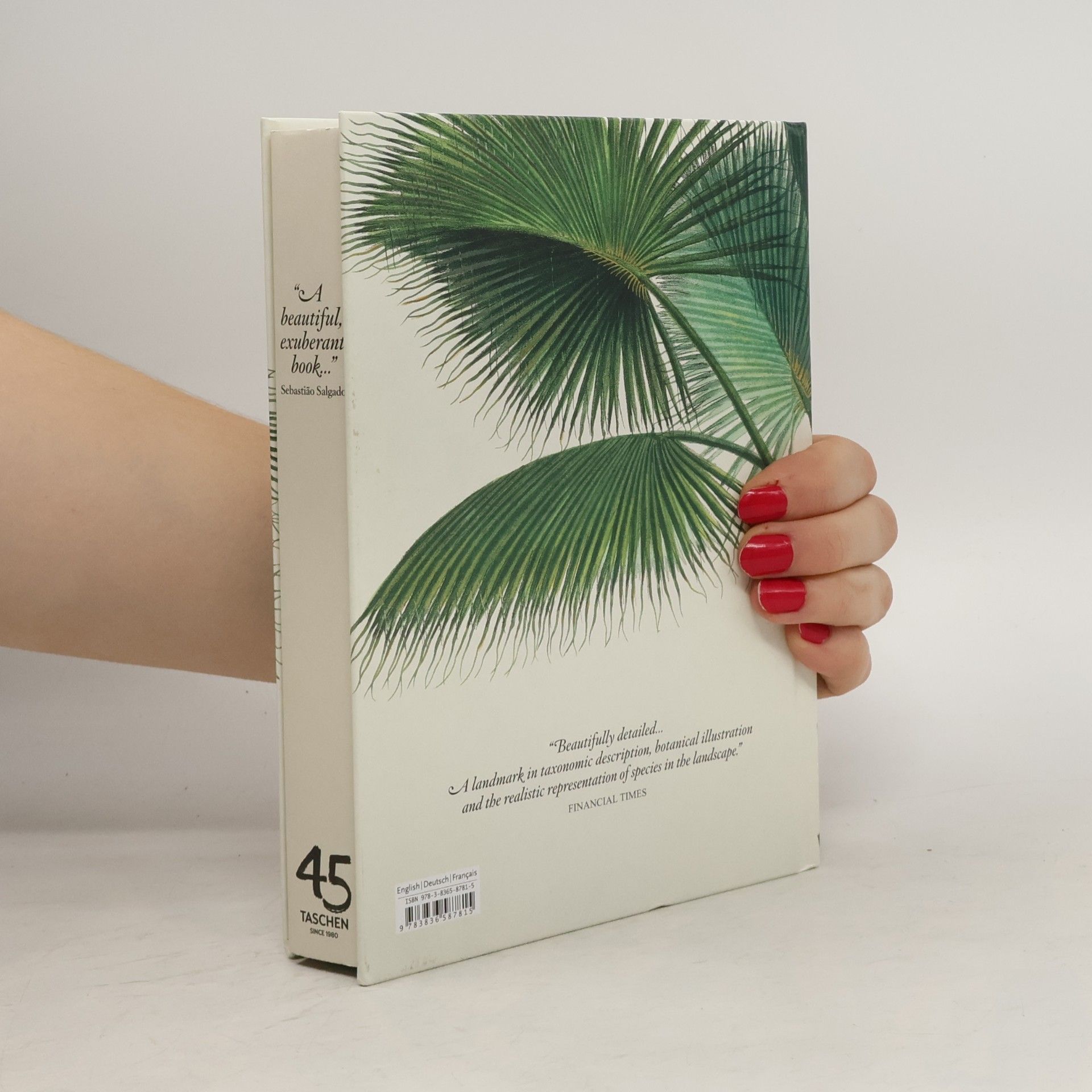 Hans Walter Lack Martius. The Book of Palms