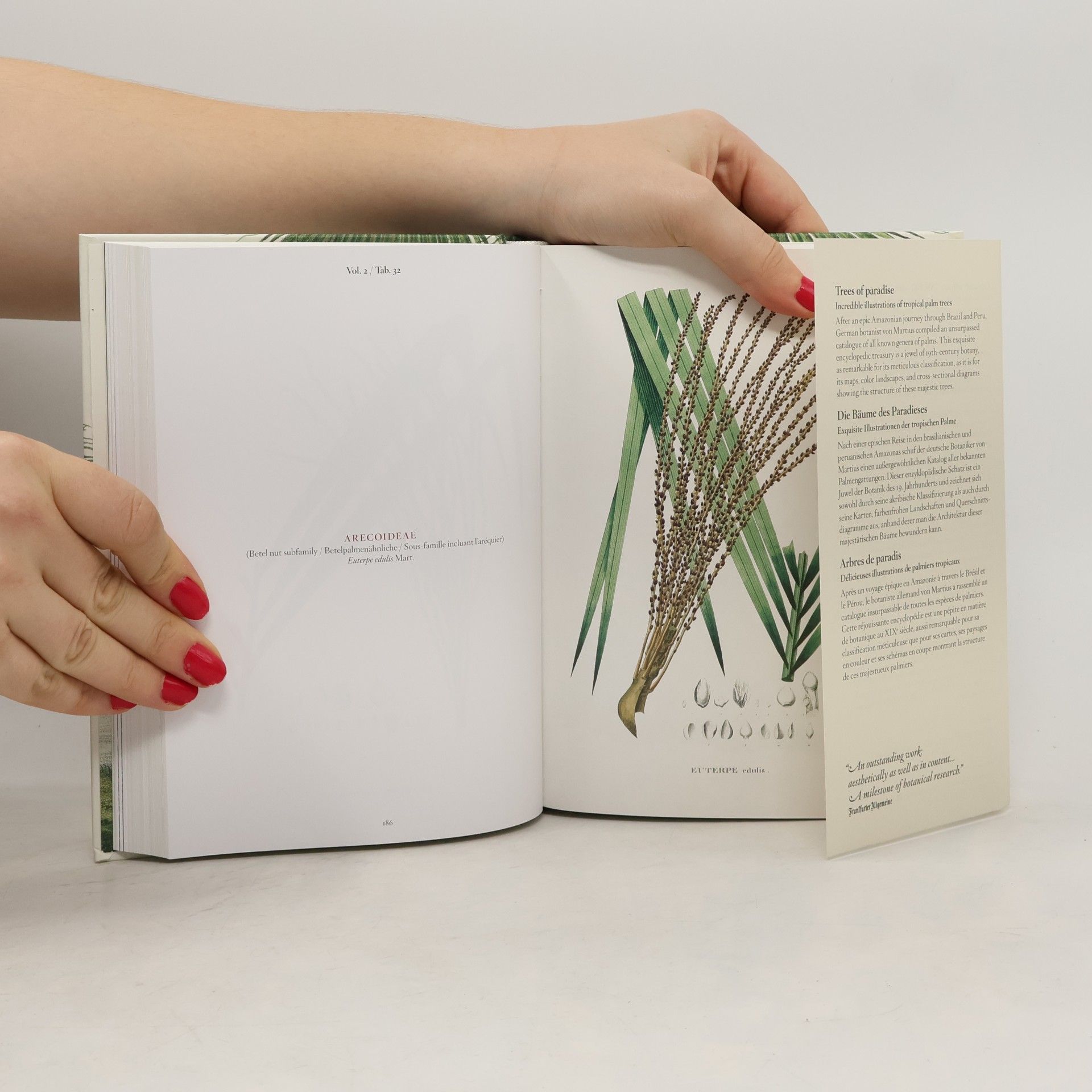 Hans Walter Lack Martius. The Book of Palms