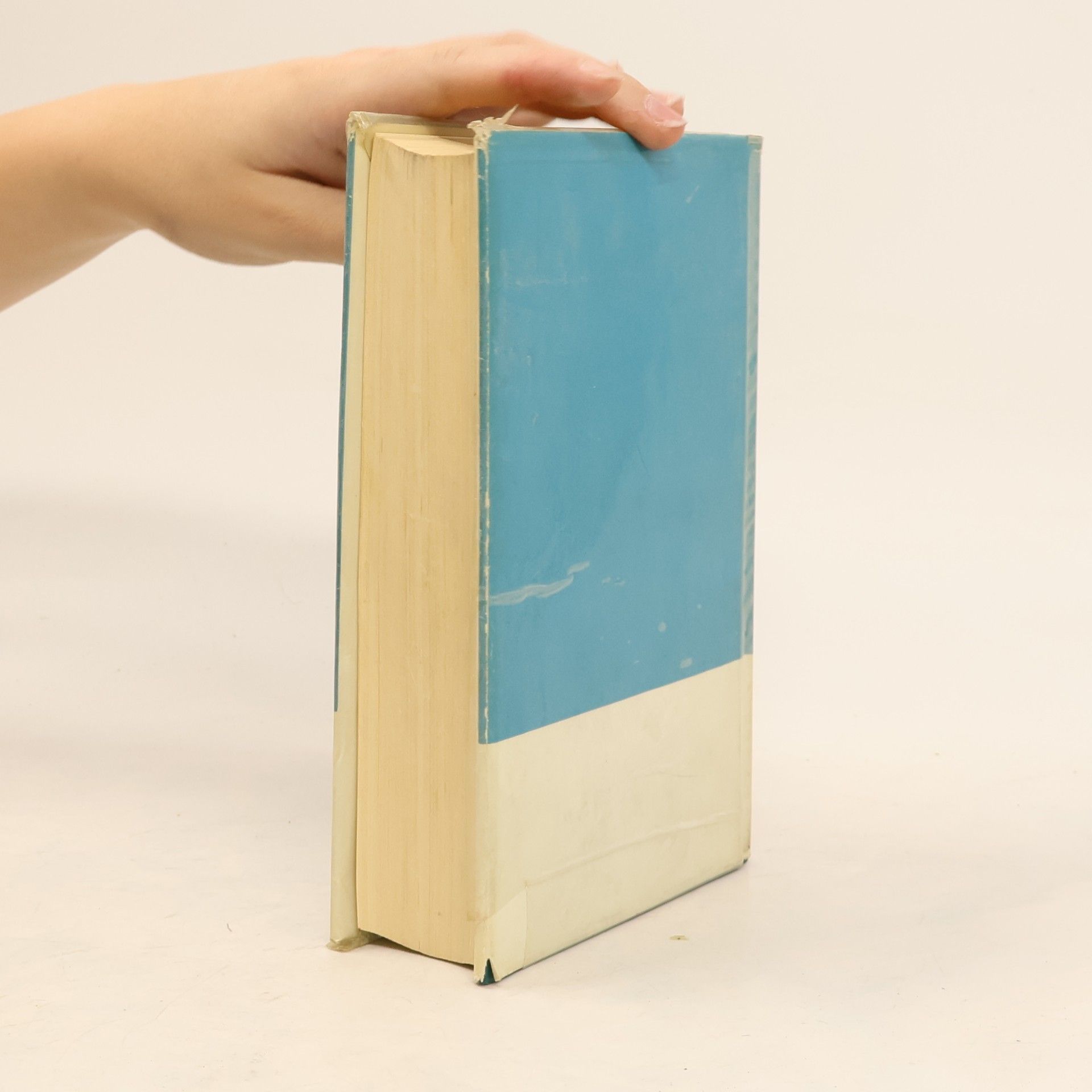Kolektív autorov Wörterbuch Englisch
