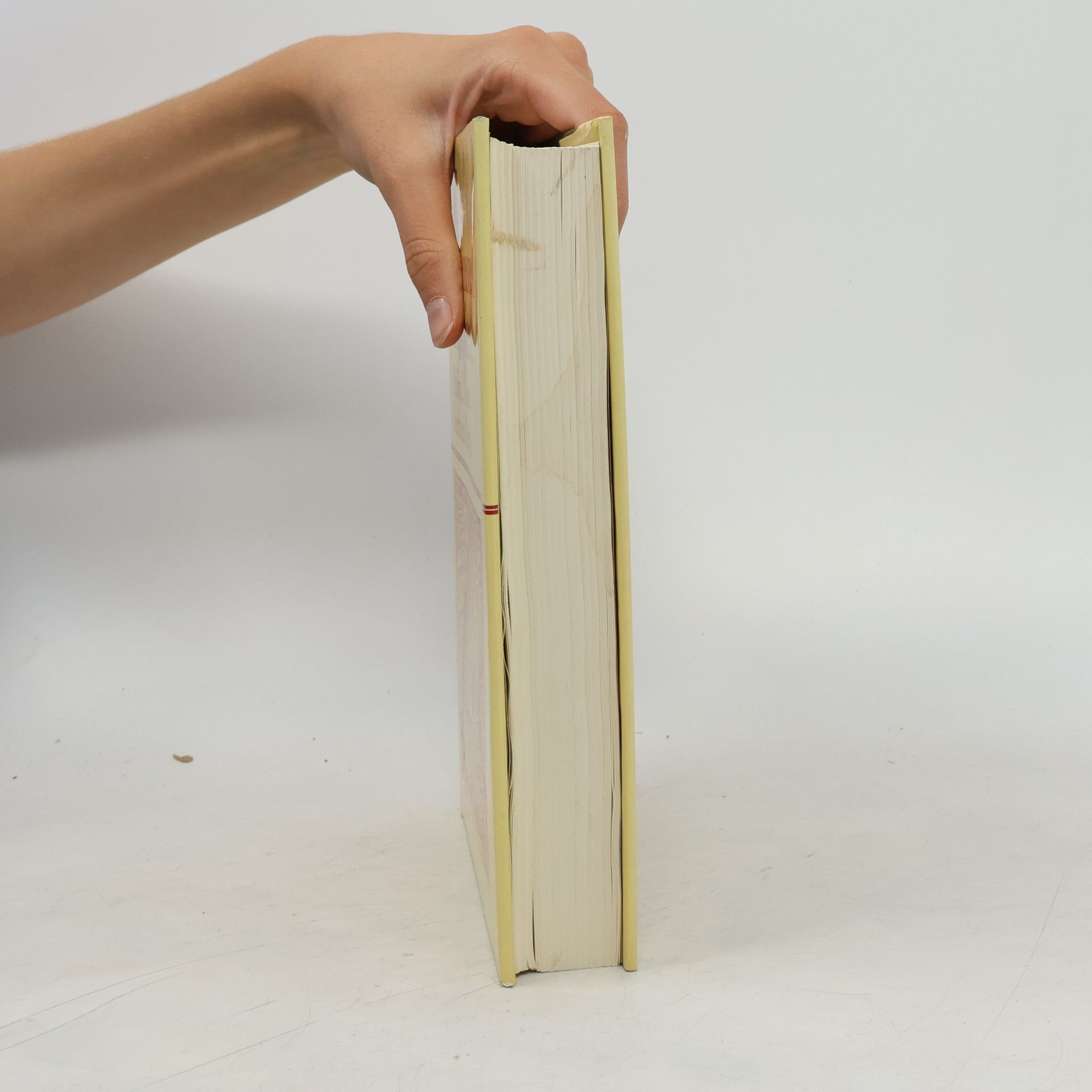 Reuben Hersh The Mathematical Experience