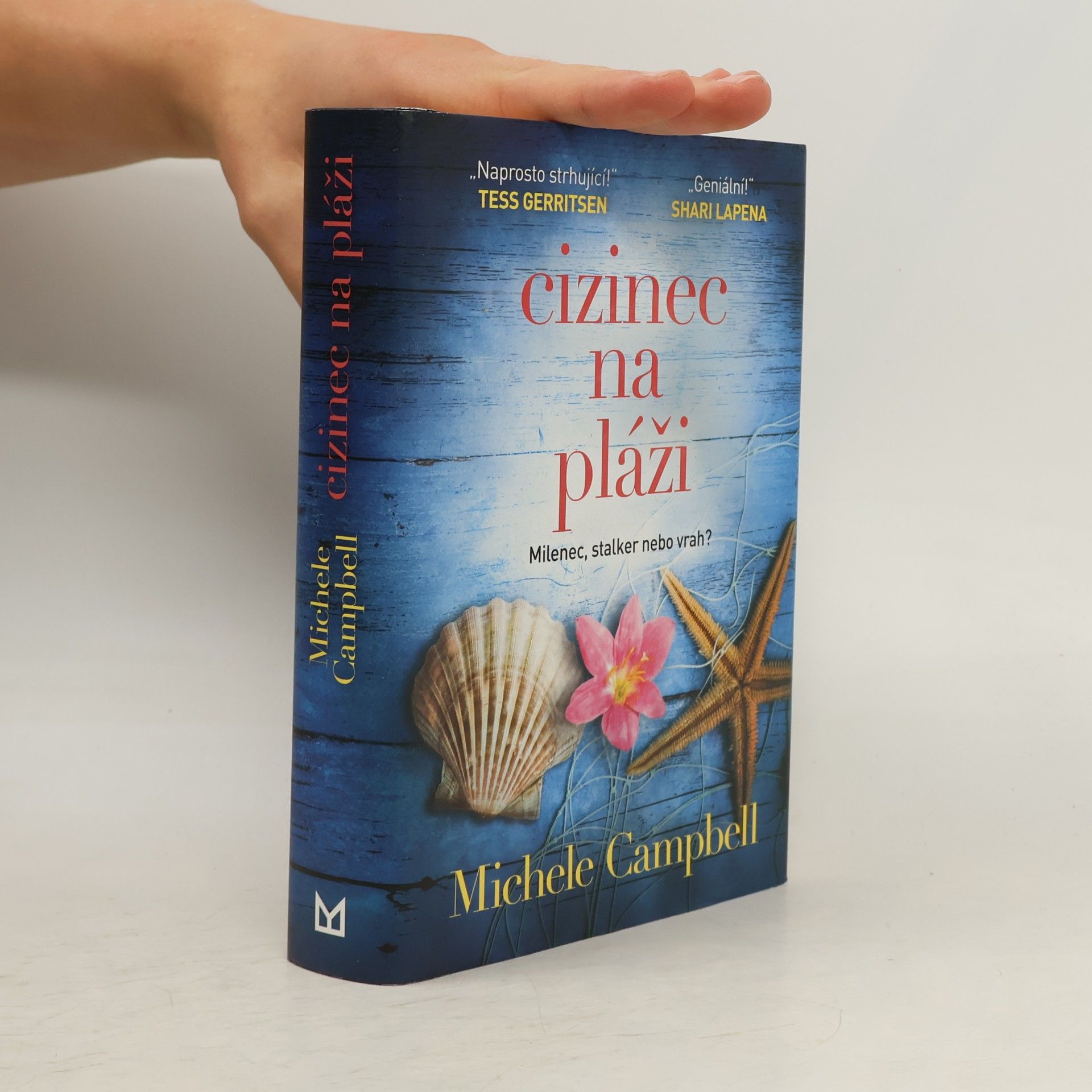 Michele Campbell Cizinec na pláži