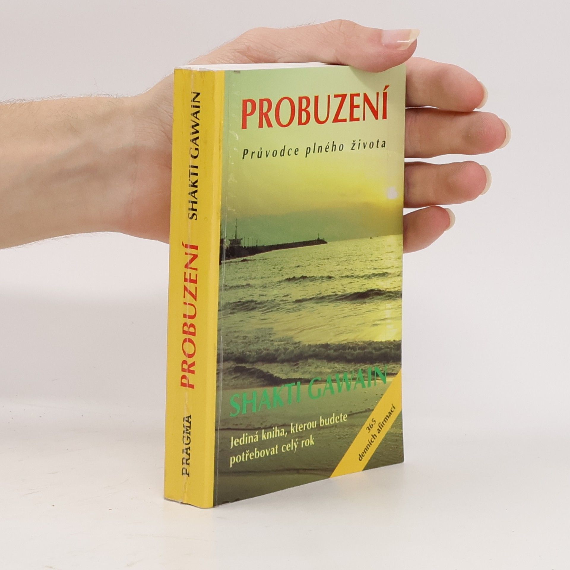 Probuzení. Průvodce plného života