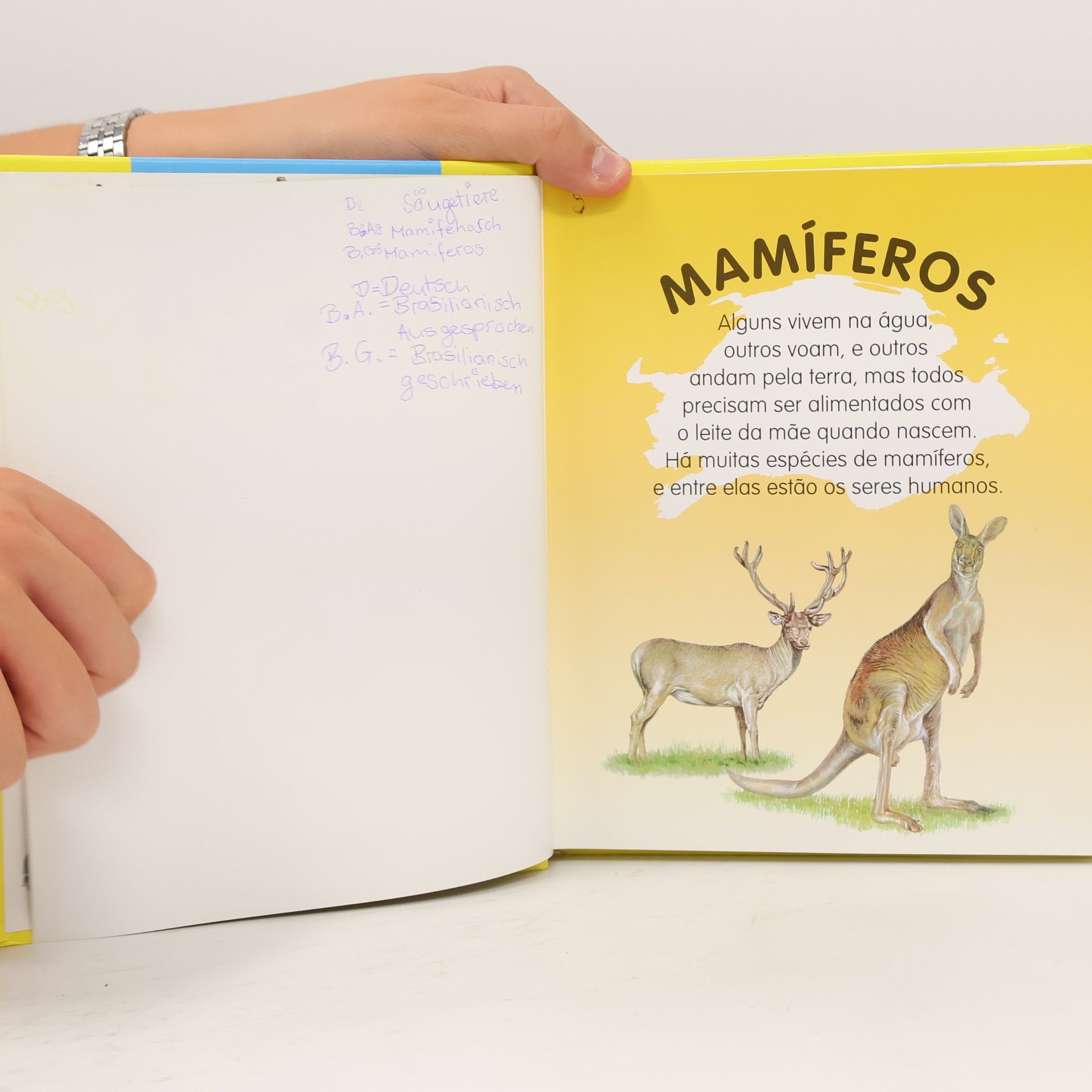 Eloísa Cancio Barón Descobrindo o Mundo. Minha Primeira Enciclopedia de Animais