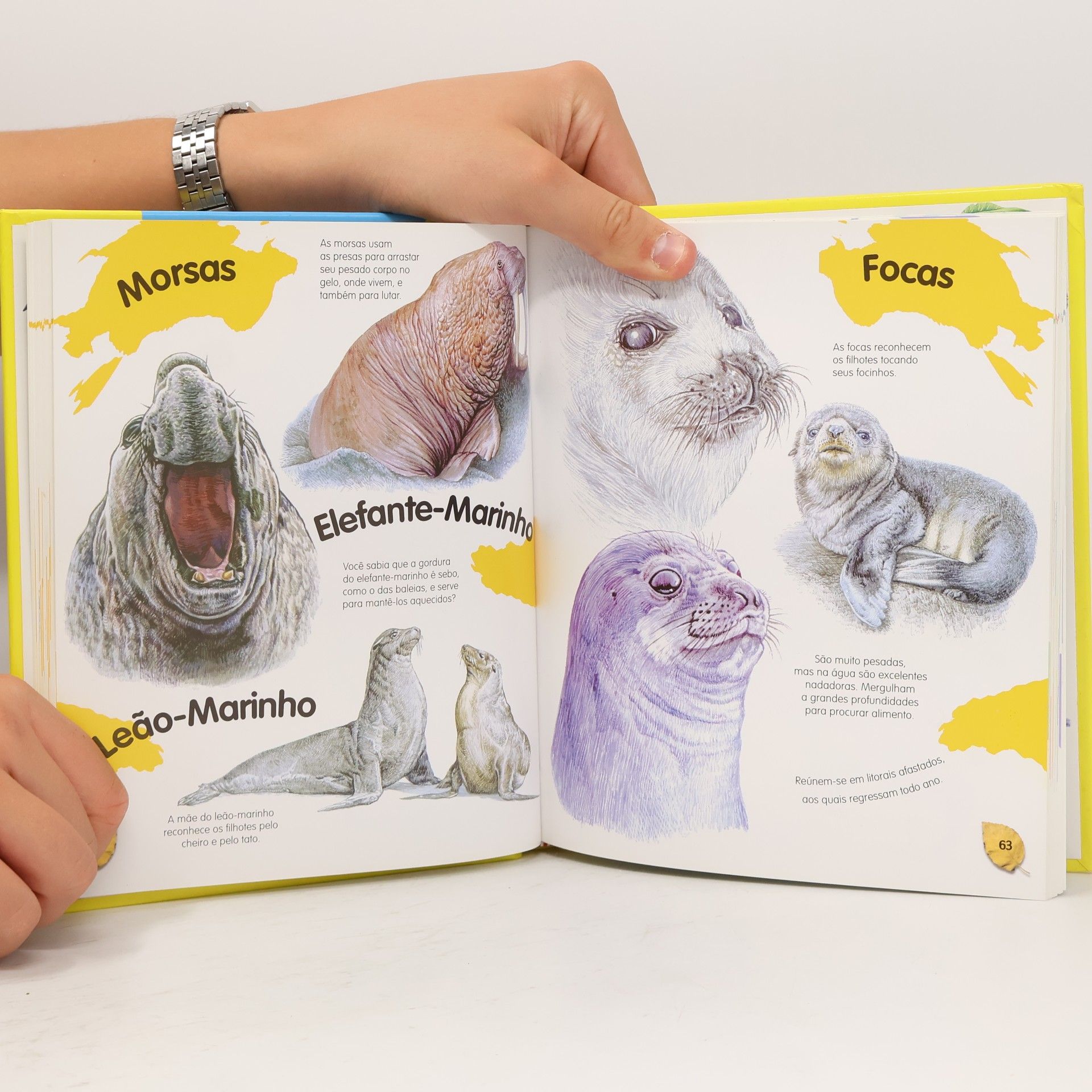 Eloísa Cancio Barón Descobrindo o Mundo. Minha Primeira Enciclopedia de Animais