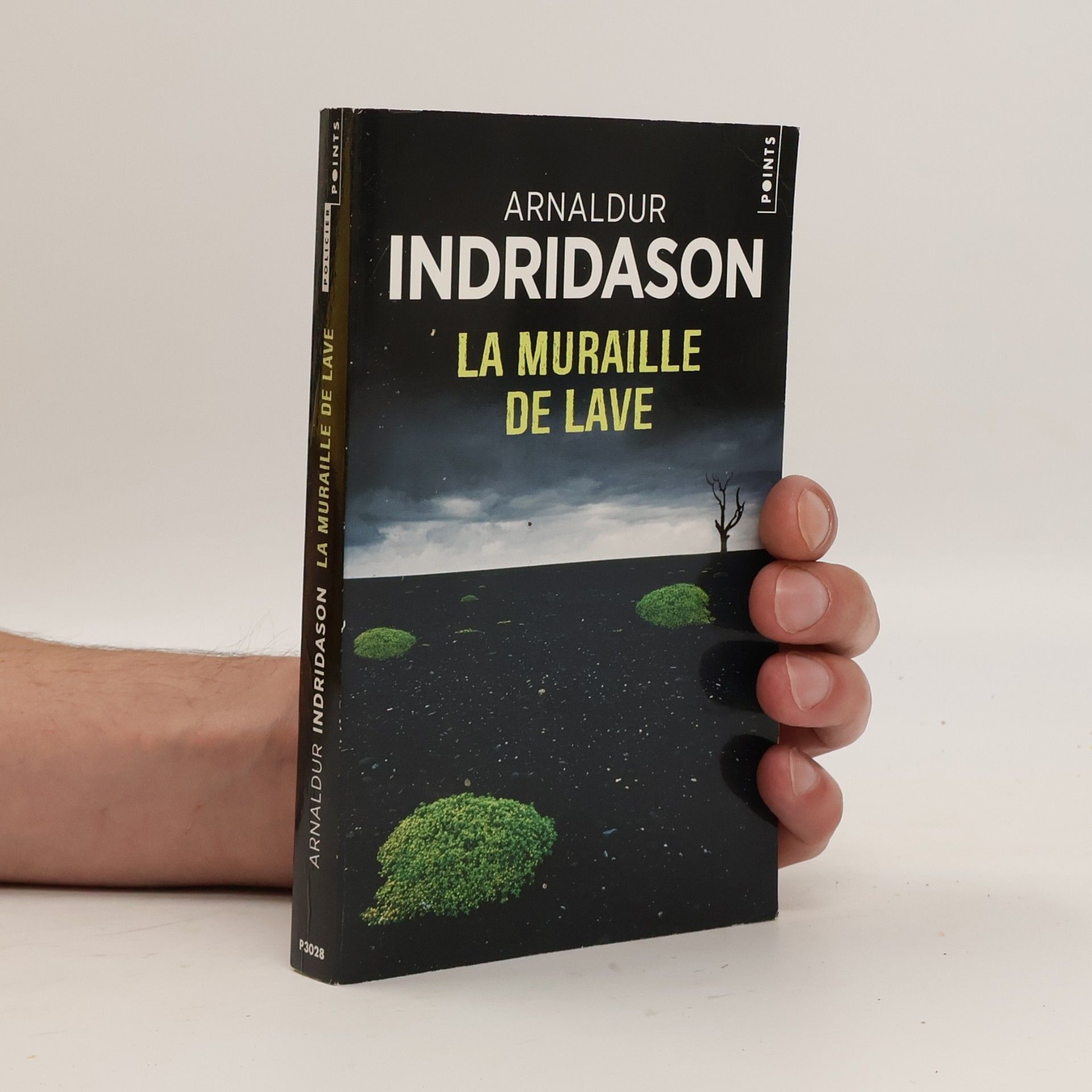 Arnaldur Indriðason La muraille de lave