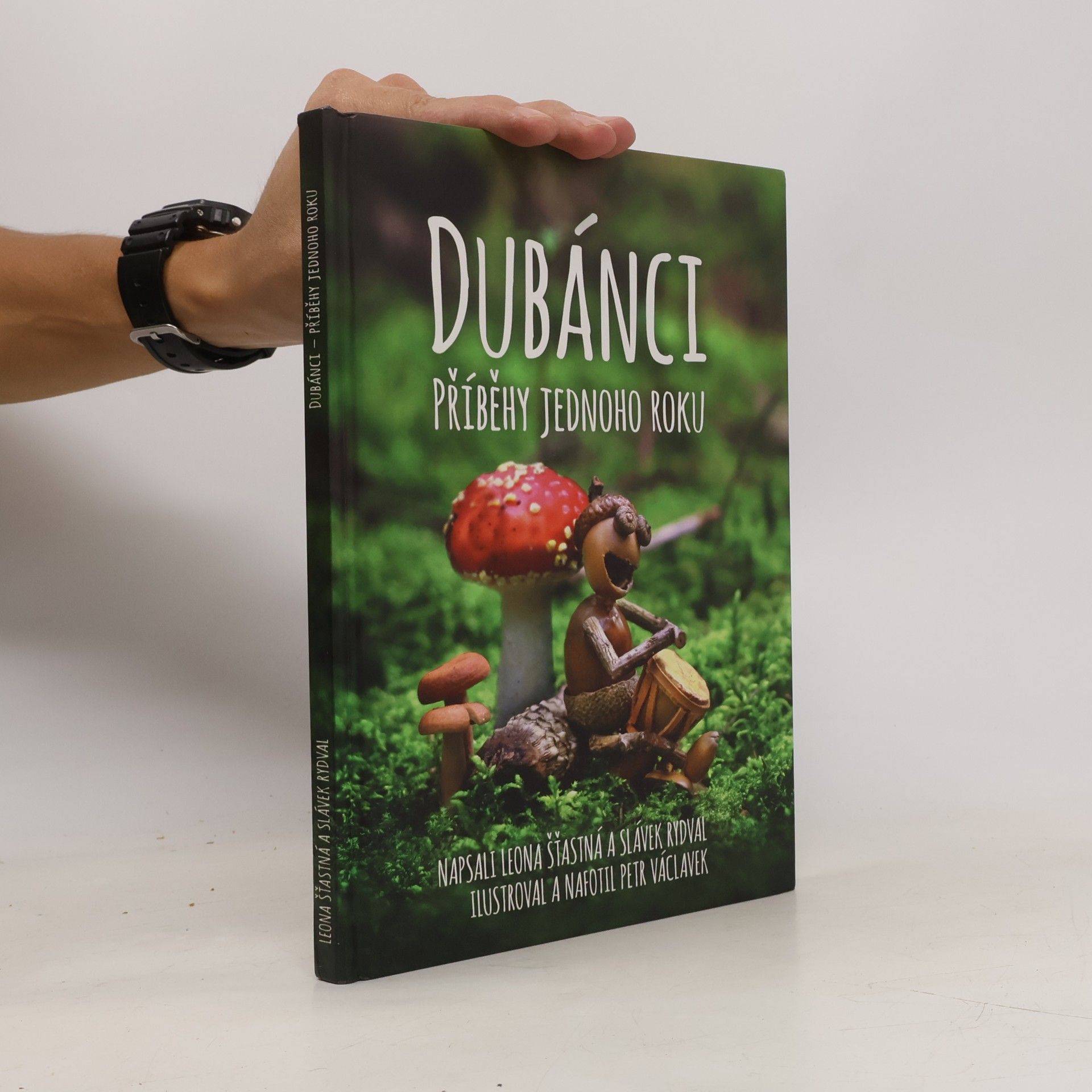 Slávek Rydval Dubánci: Příběhy jednoho roku
