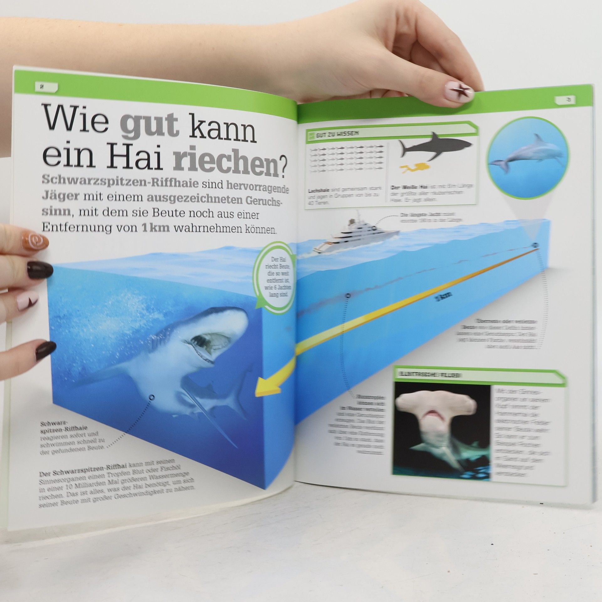 Autorenkollektiv Total verrückte Tiere
