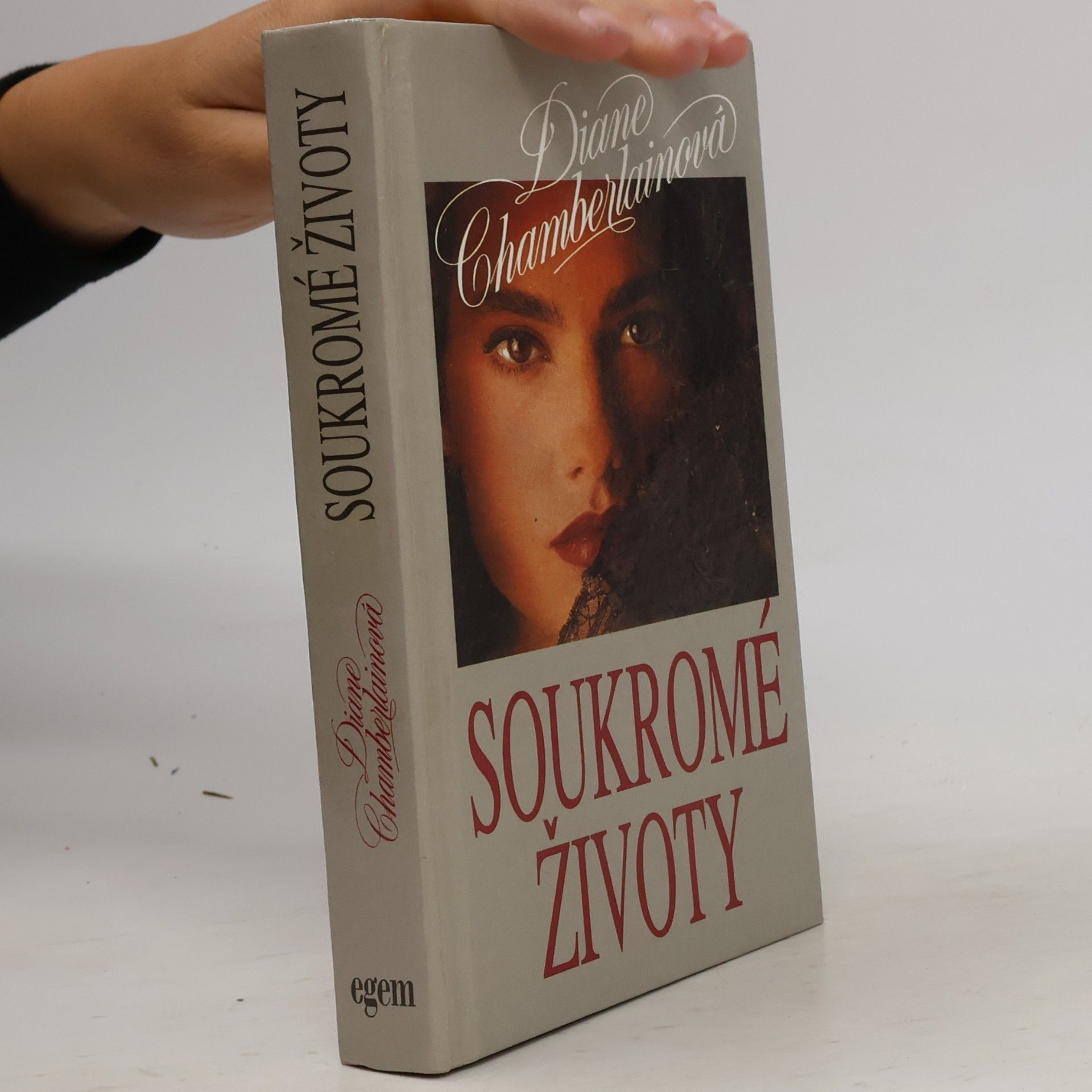 Diane Chamberlain Soukromé životy