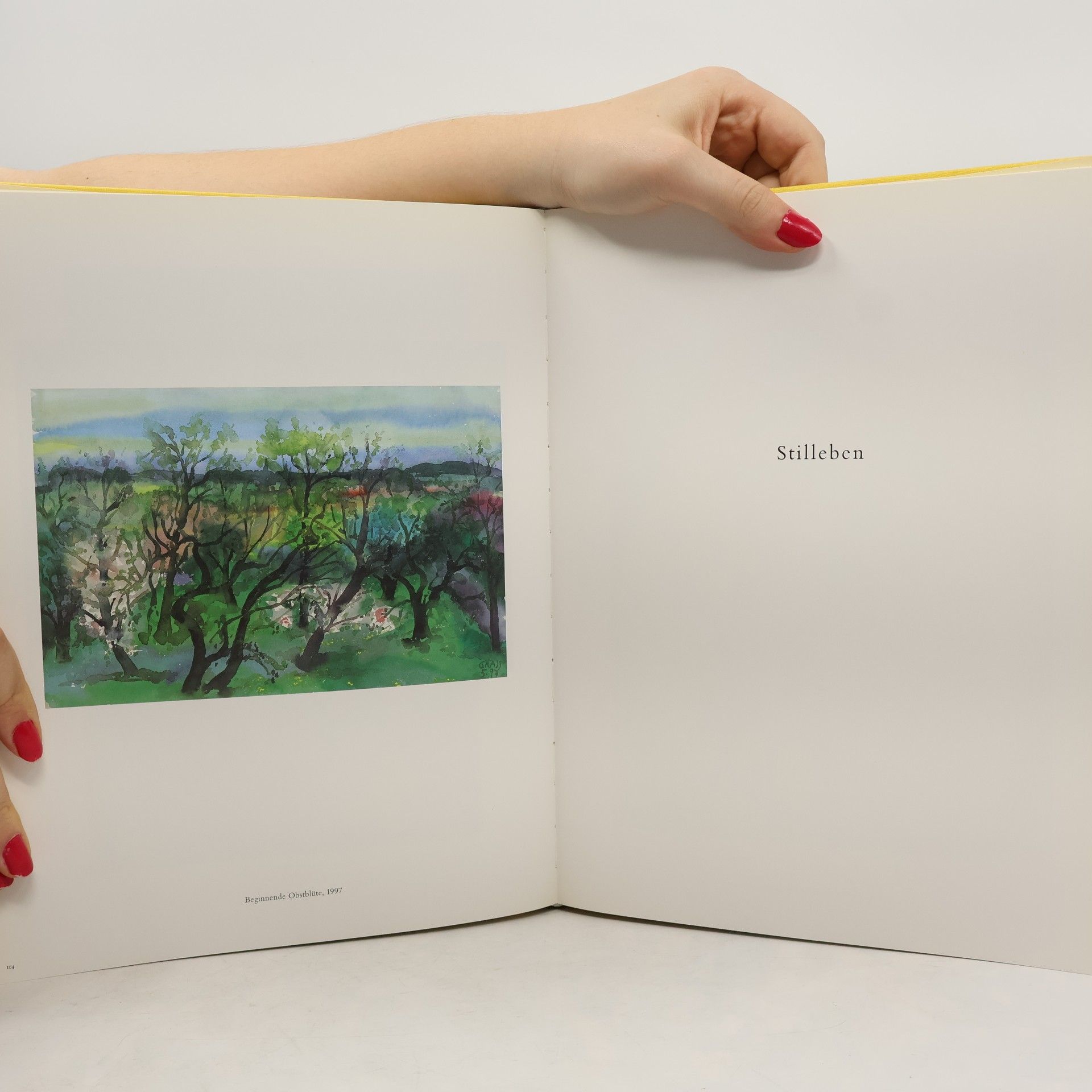 Günter Grass Mit Wasserfarben