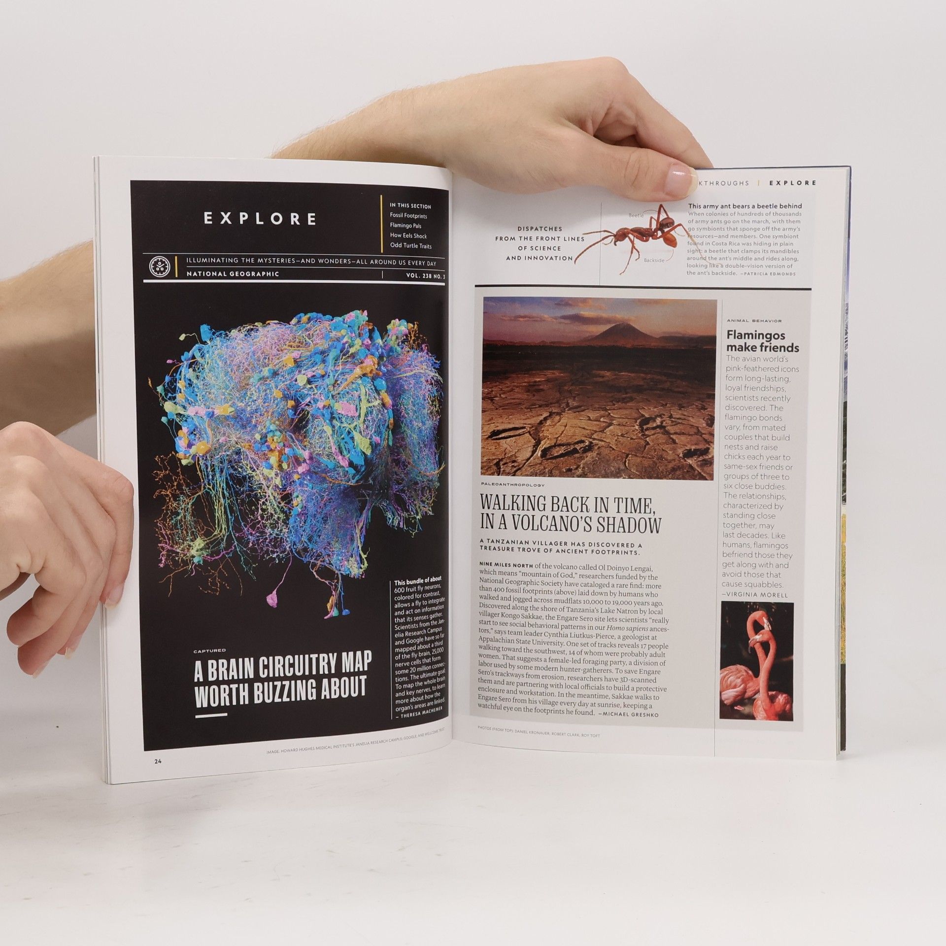 Autorenkollektiv National Geographic 9/2020: Meet the ROBOTS