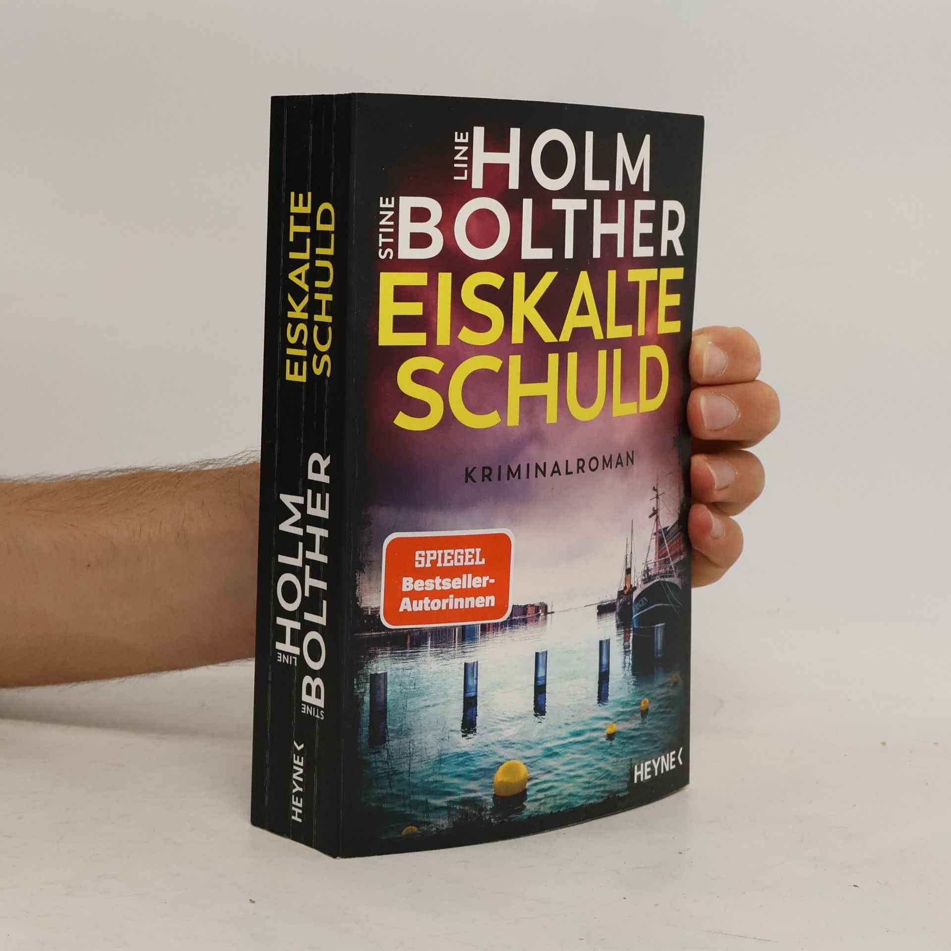 Stine Bolther Eiskalte Schuld