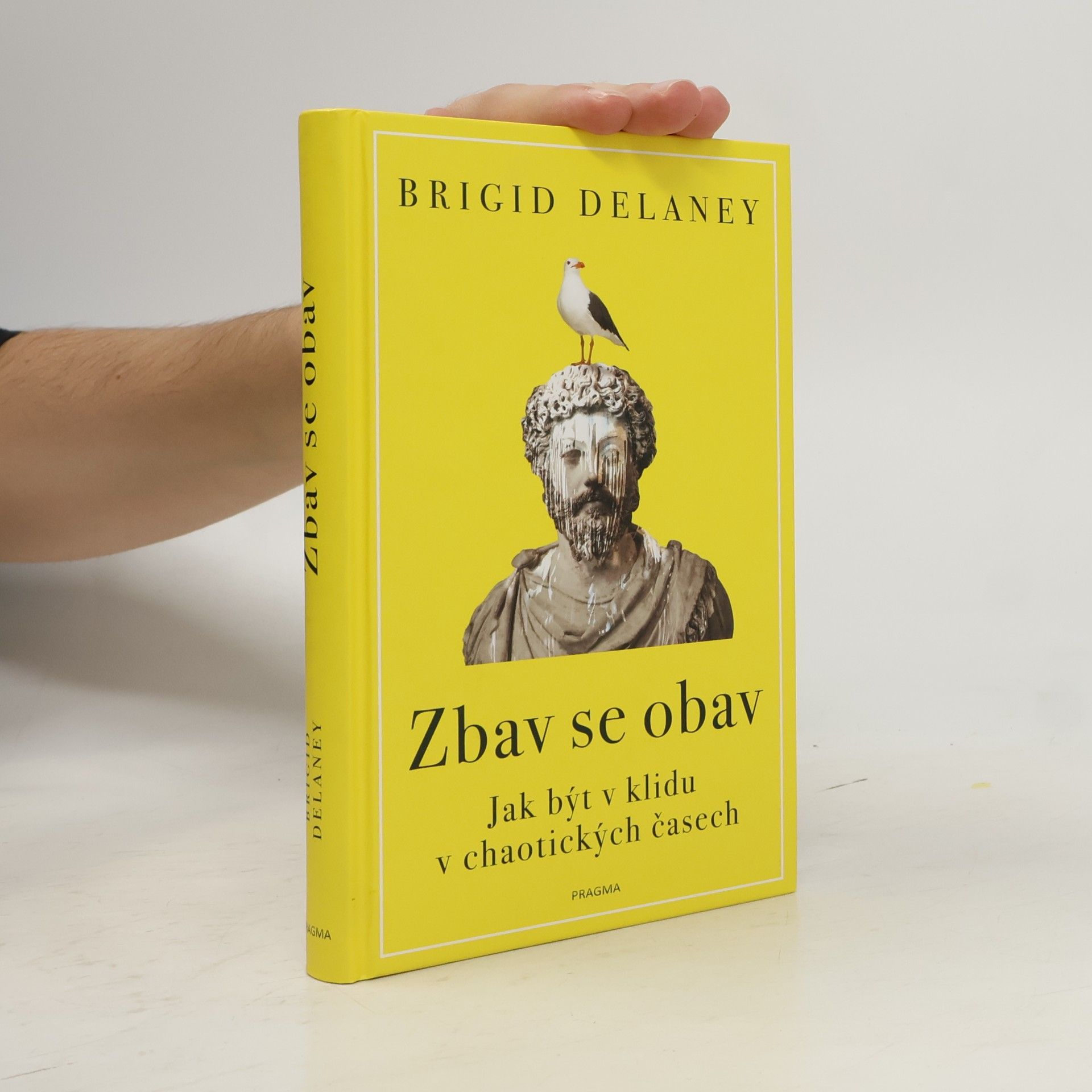 Brigid Delaney Zbav se obav. Jak být v klidu v chaotických časech