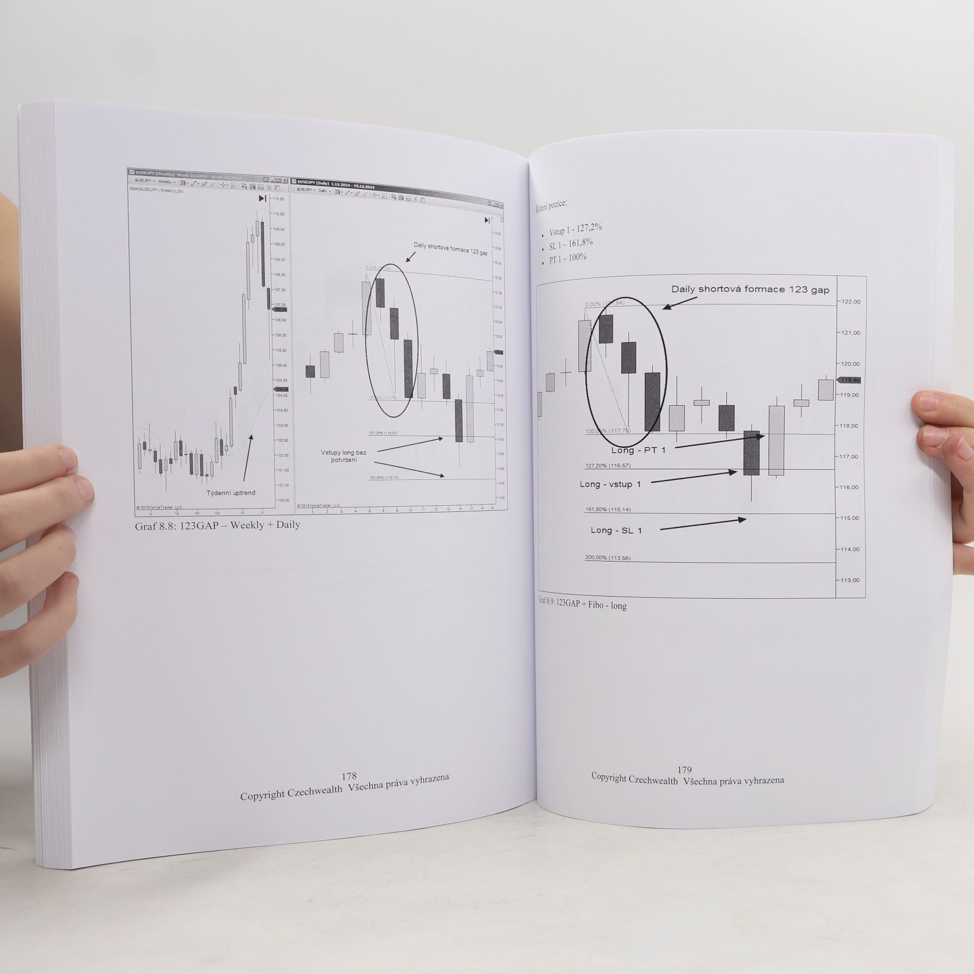 Ludvík Turek Price Action II - Obchodujte co vidíte, ne co si myslíte
