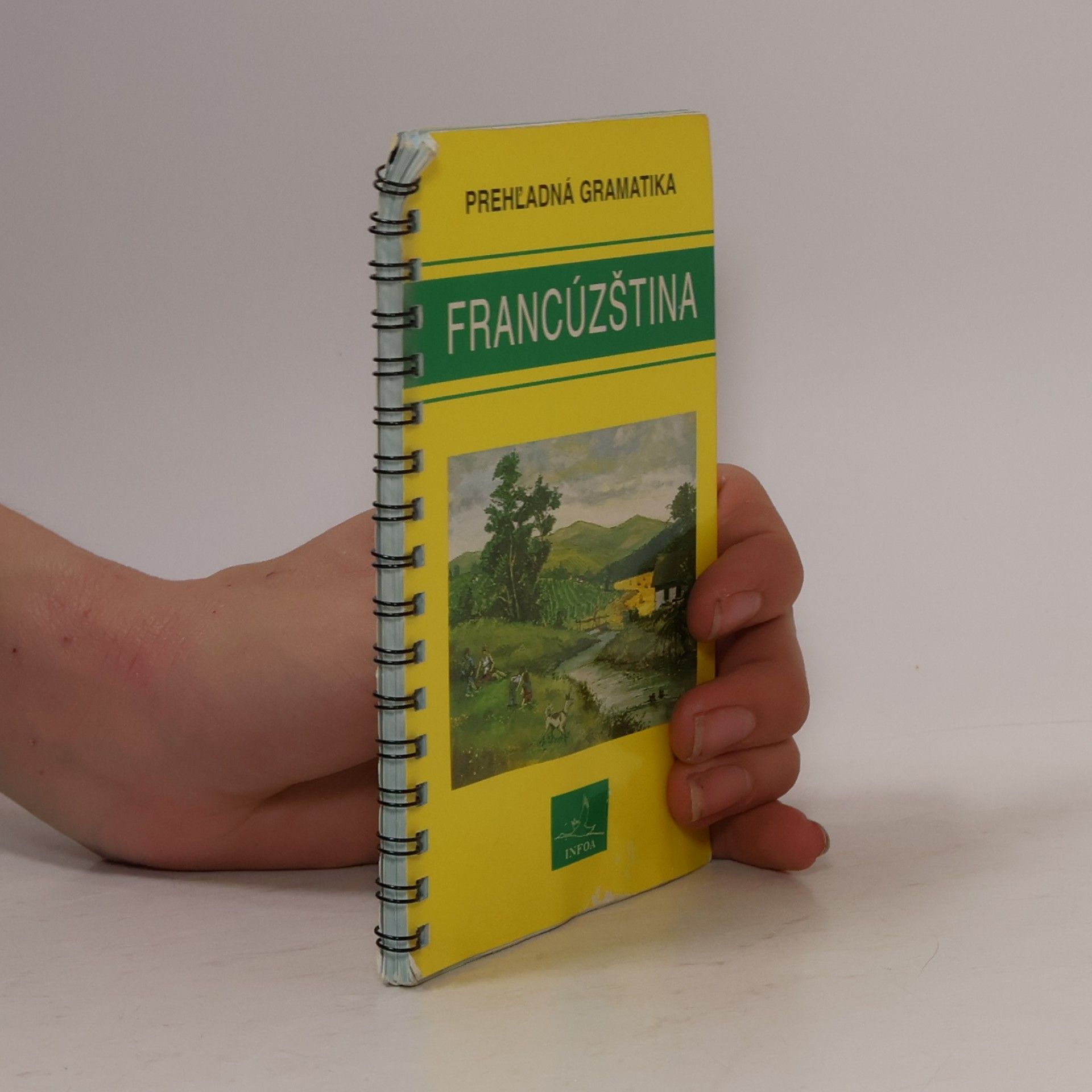Kolektiv autorů Francúzština - Prehl'adná gramatika