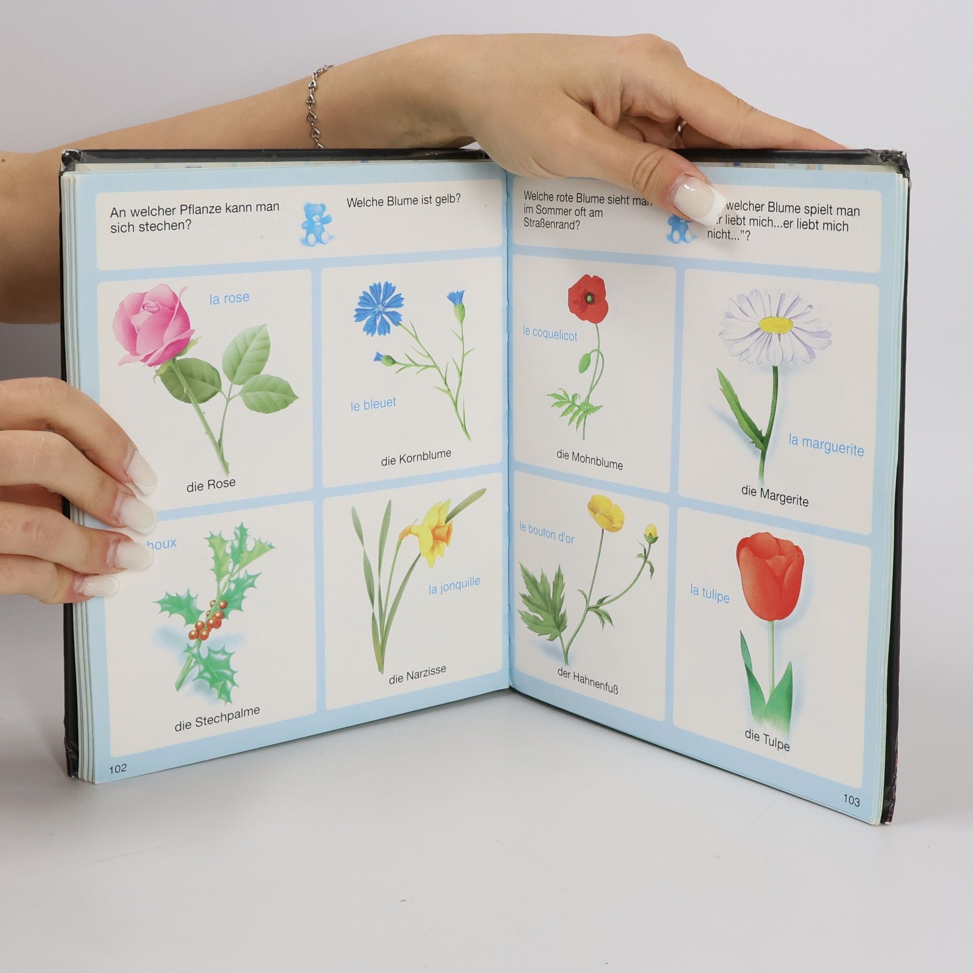 Various authors Dein buntes Wörterbuch Deutsch Französisch