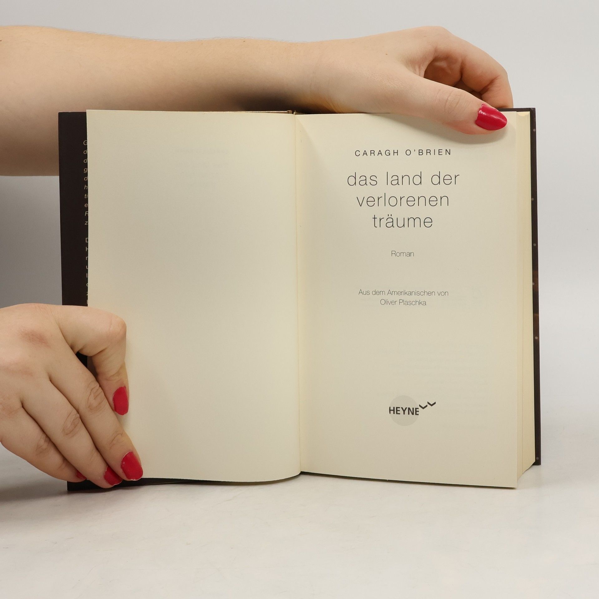 Caragh O. Brien Das Land der verlorenen Träume