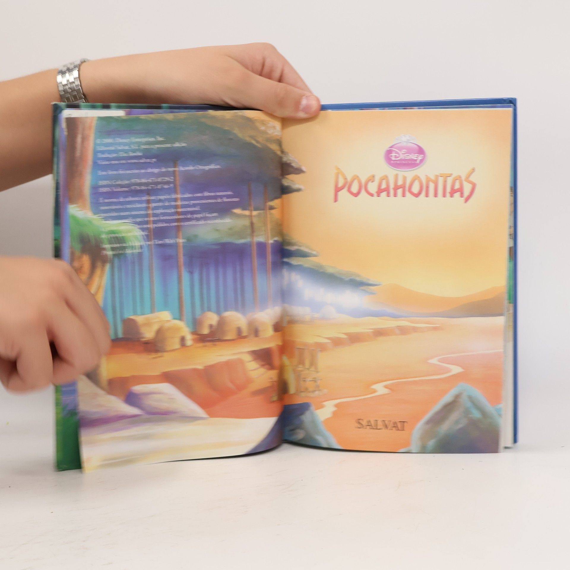 Kolektiv autorů Pocahontas