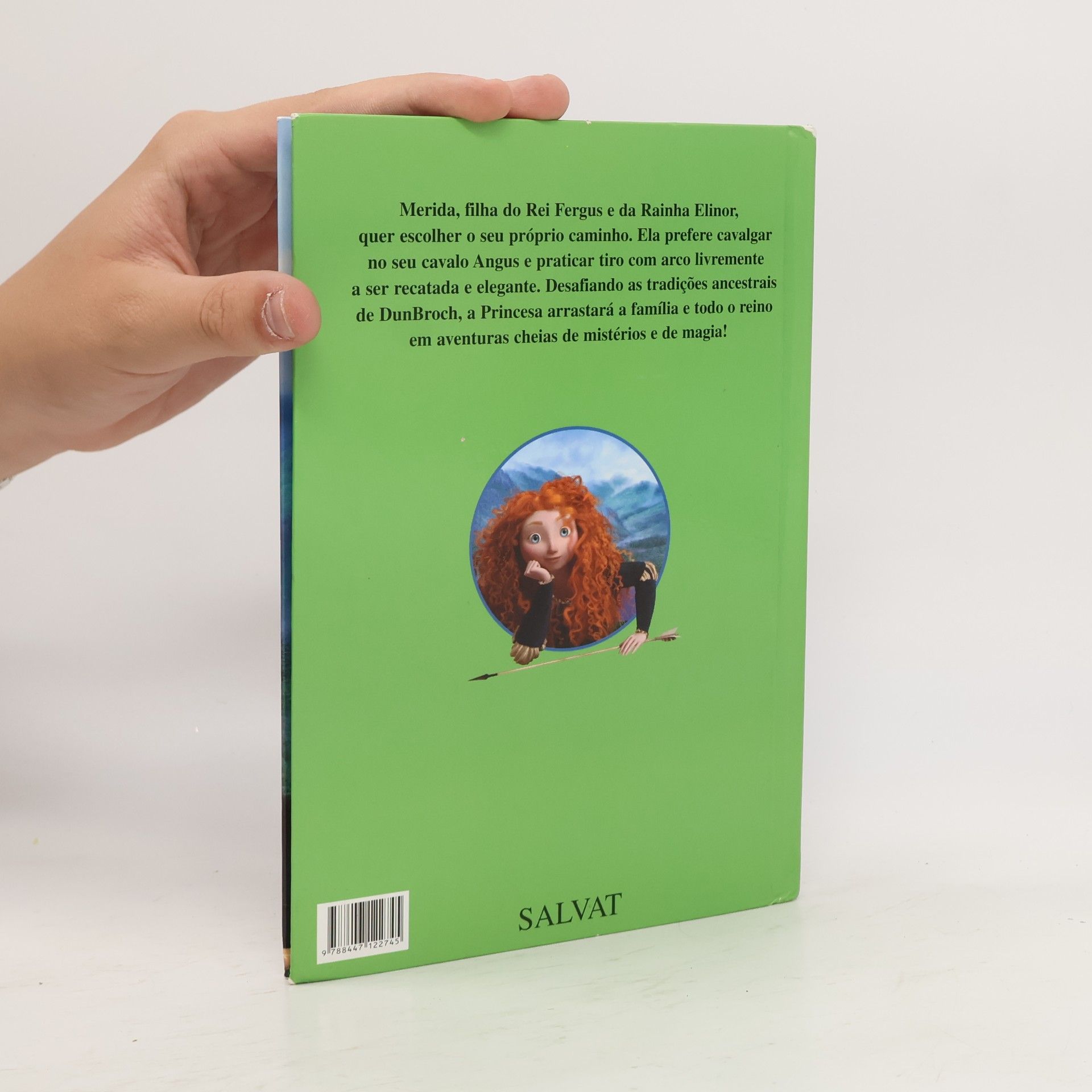 Disney Pixar Brave